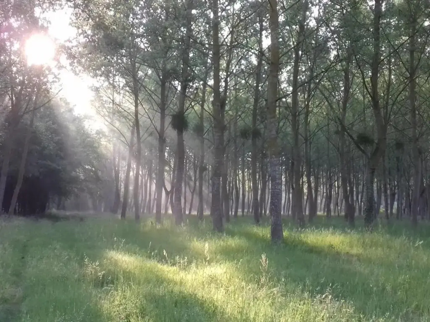 Saumur Loire Chambres et Gîte