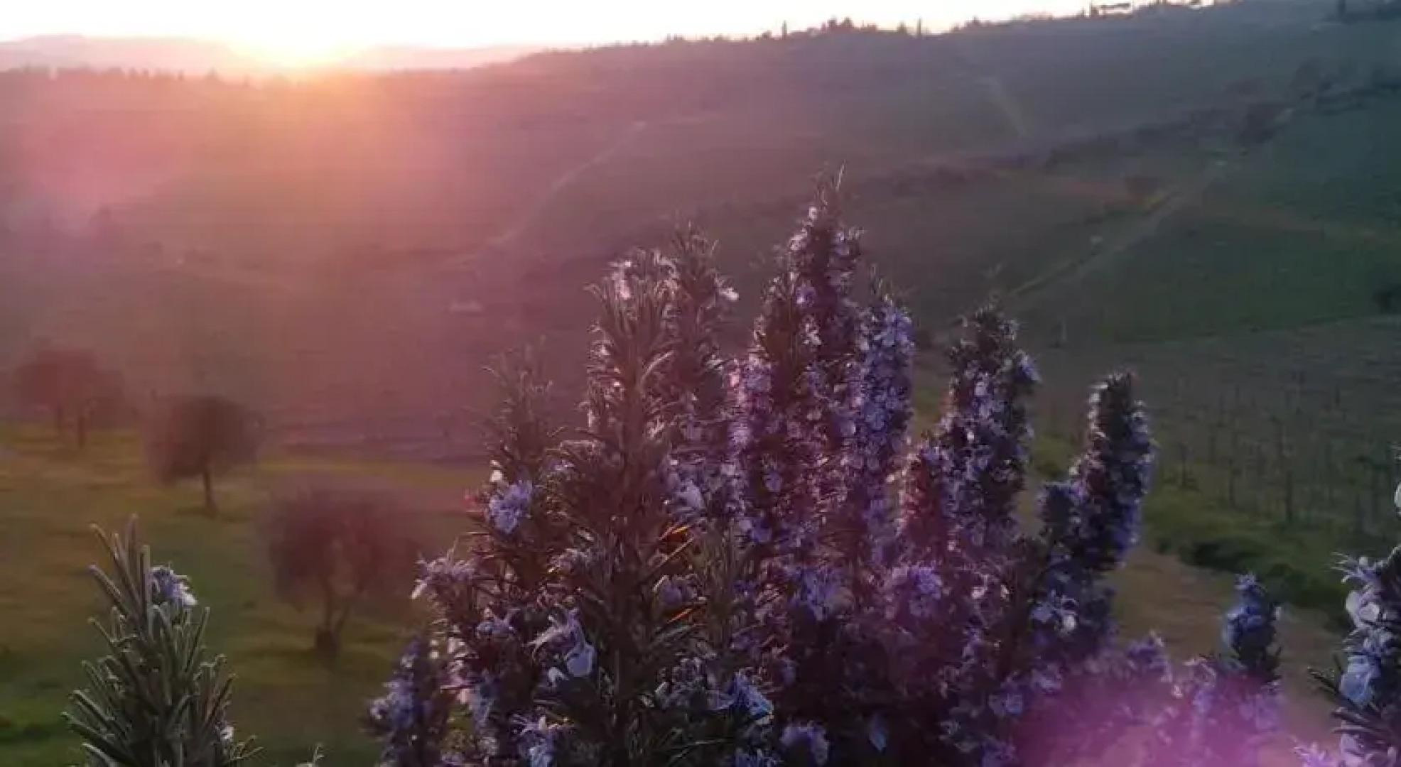 Immersi nella campagna Toscana