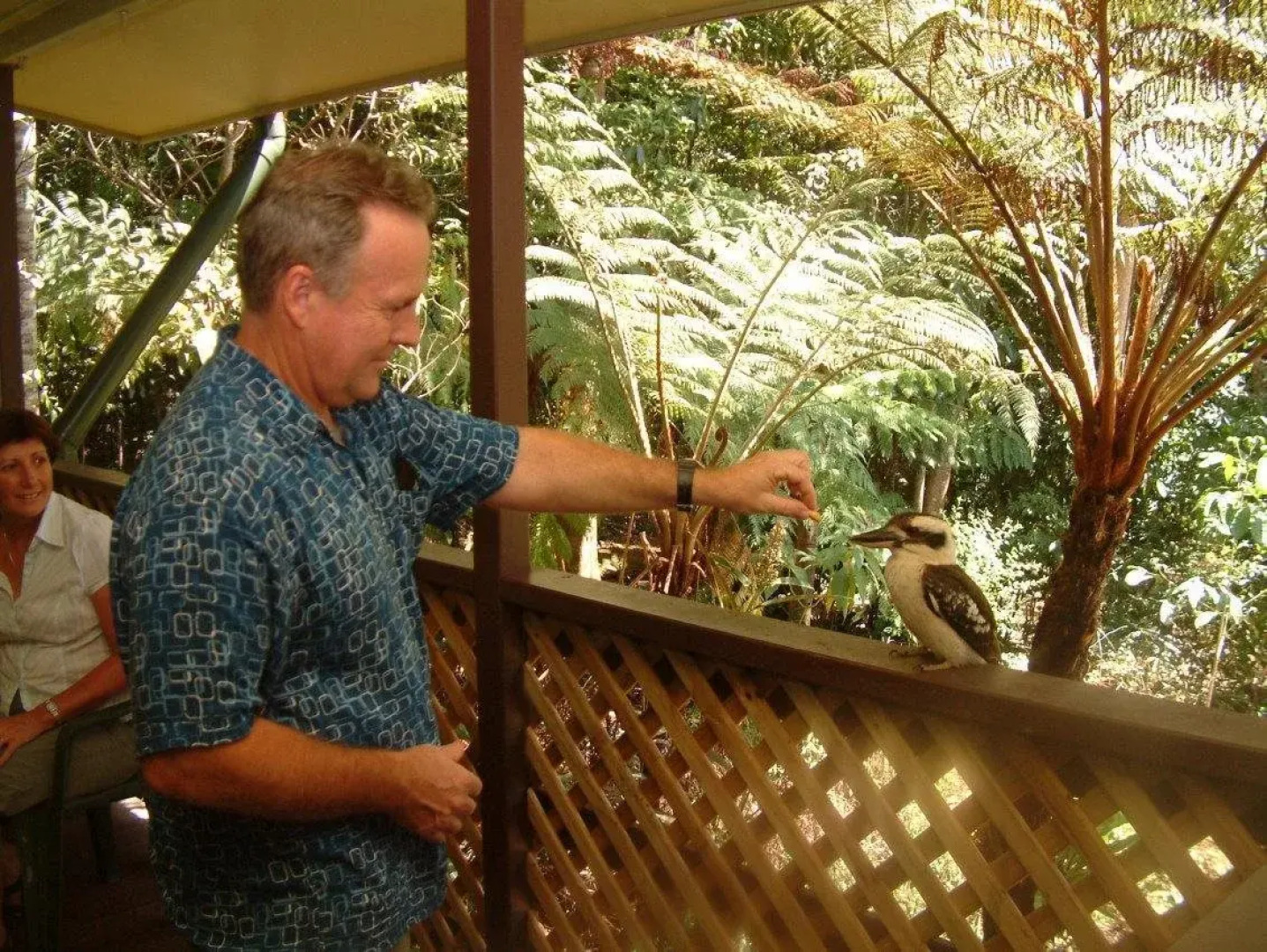 Chambers Wildlife Rainforest Lodges