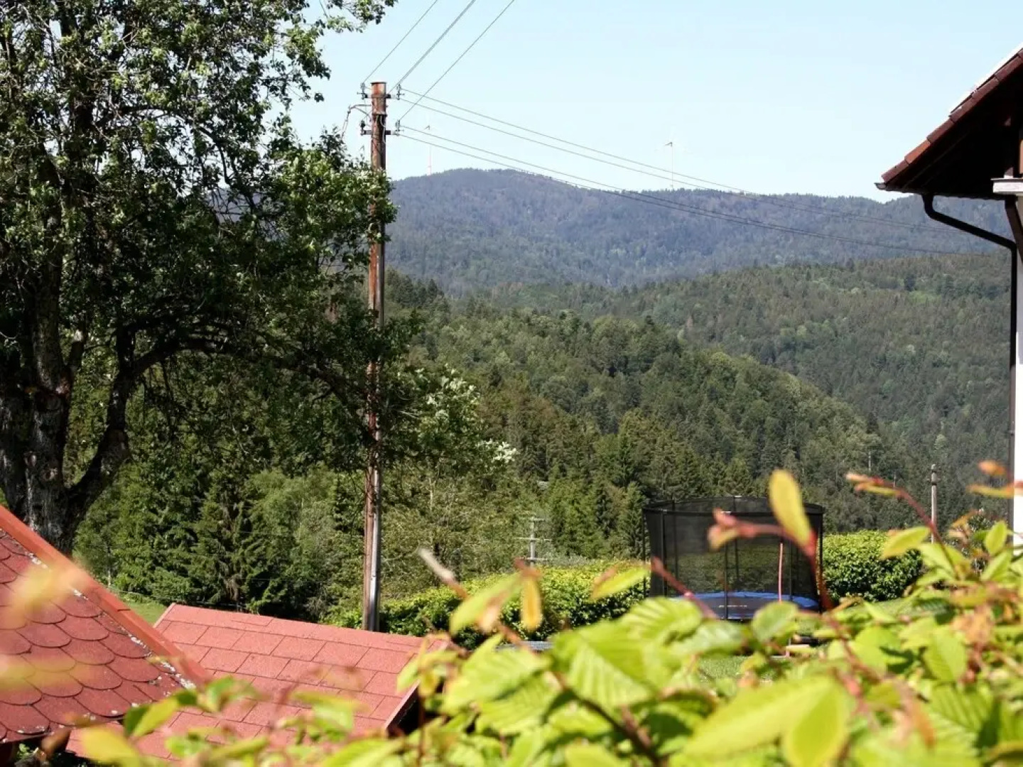 Cozy Farmhouse in Herrischried with Meadows Nearby