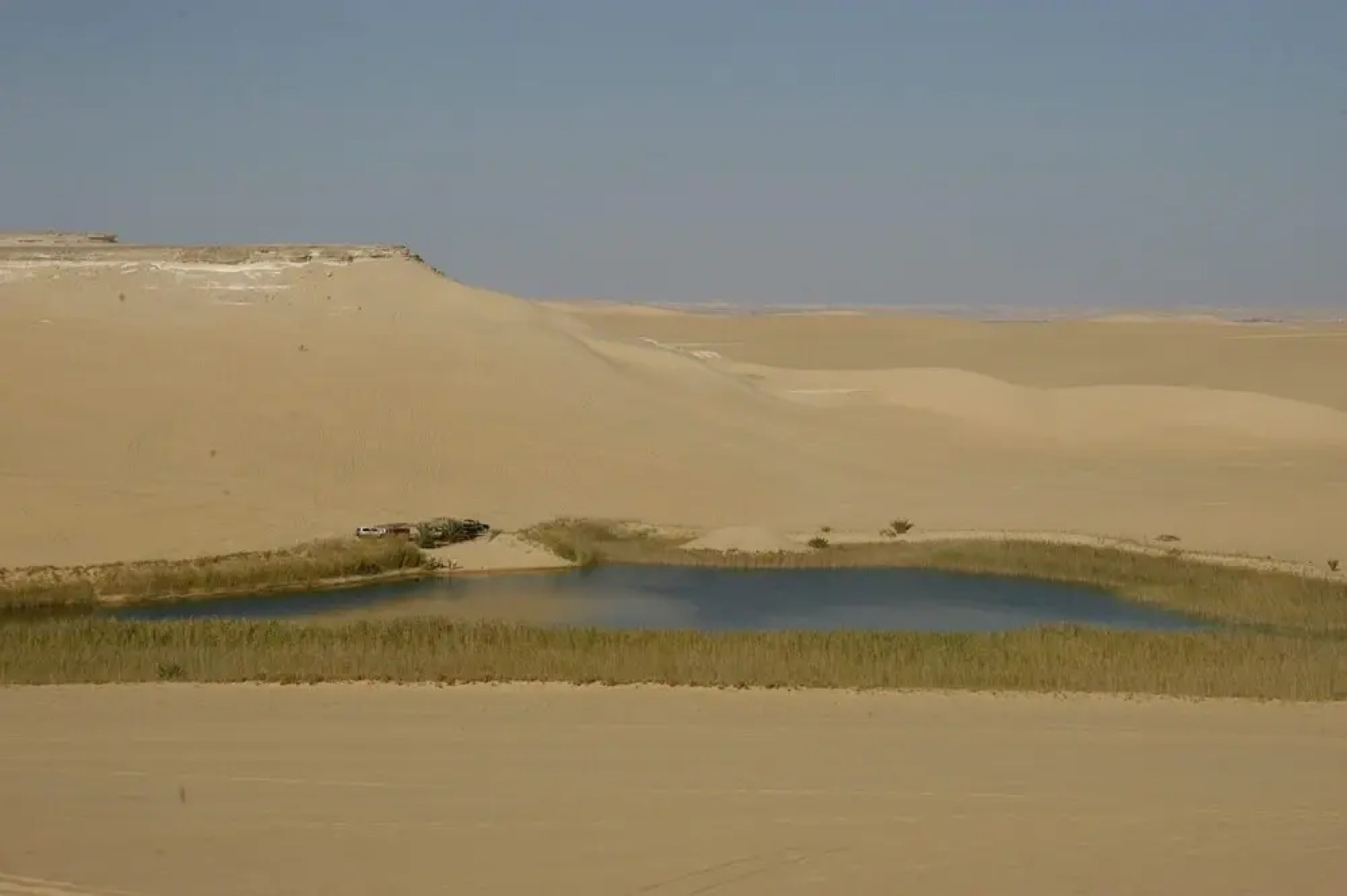 siwa safari paradise hotel