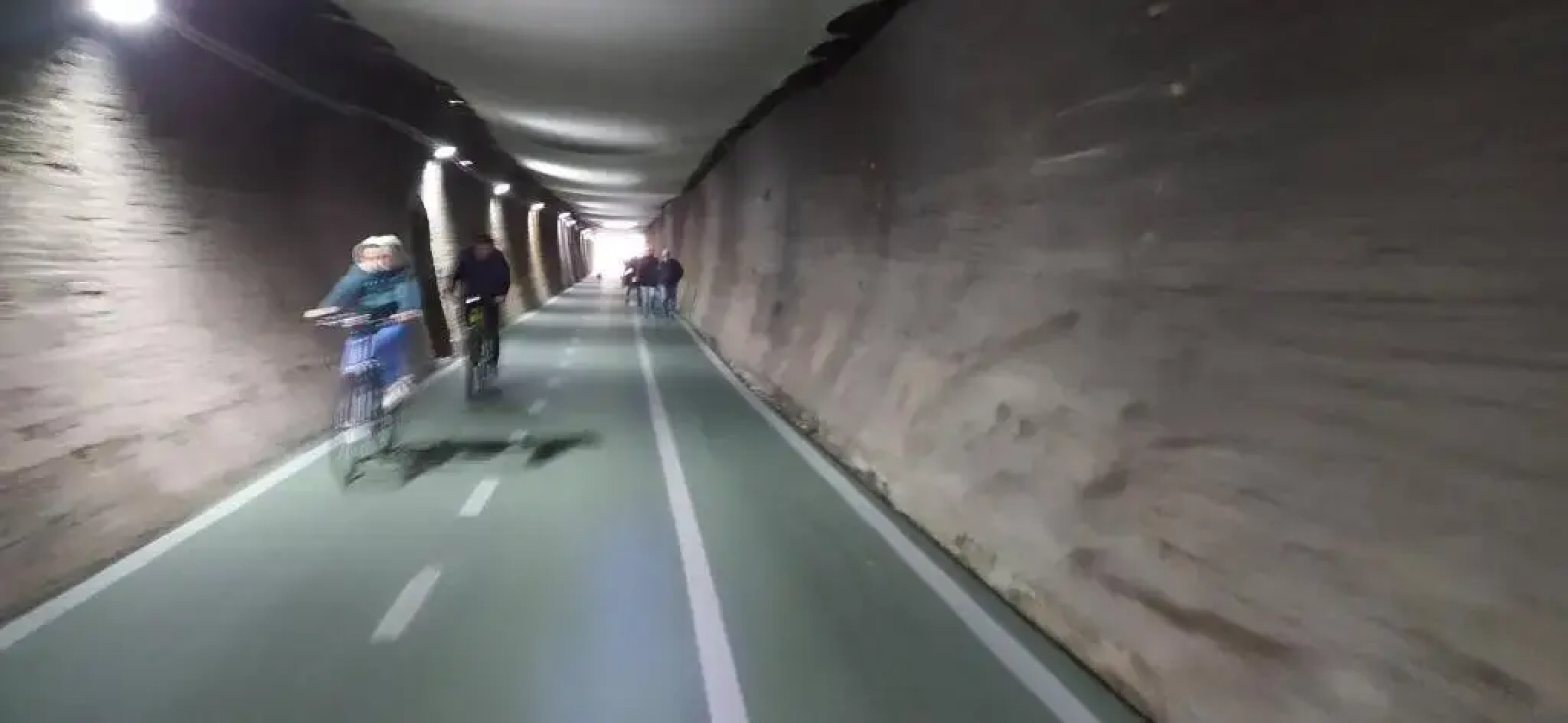 Il Giardino Fra Gli Ulivi