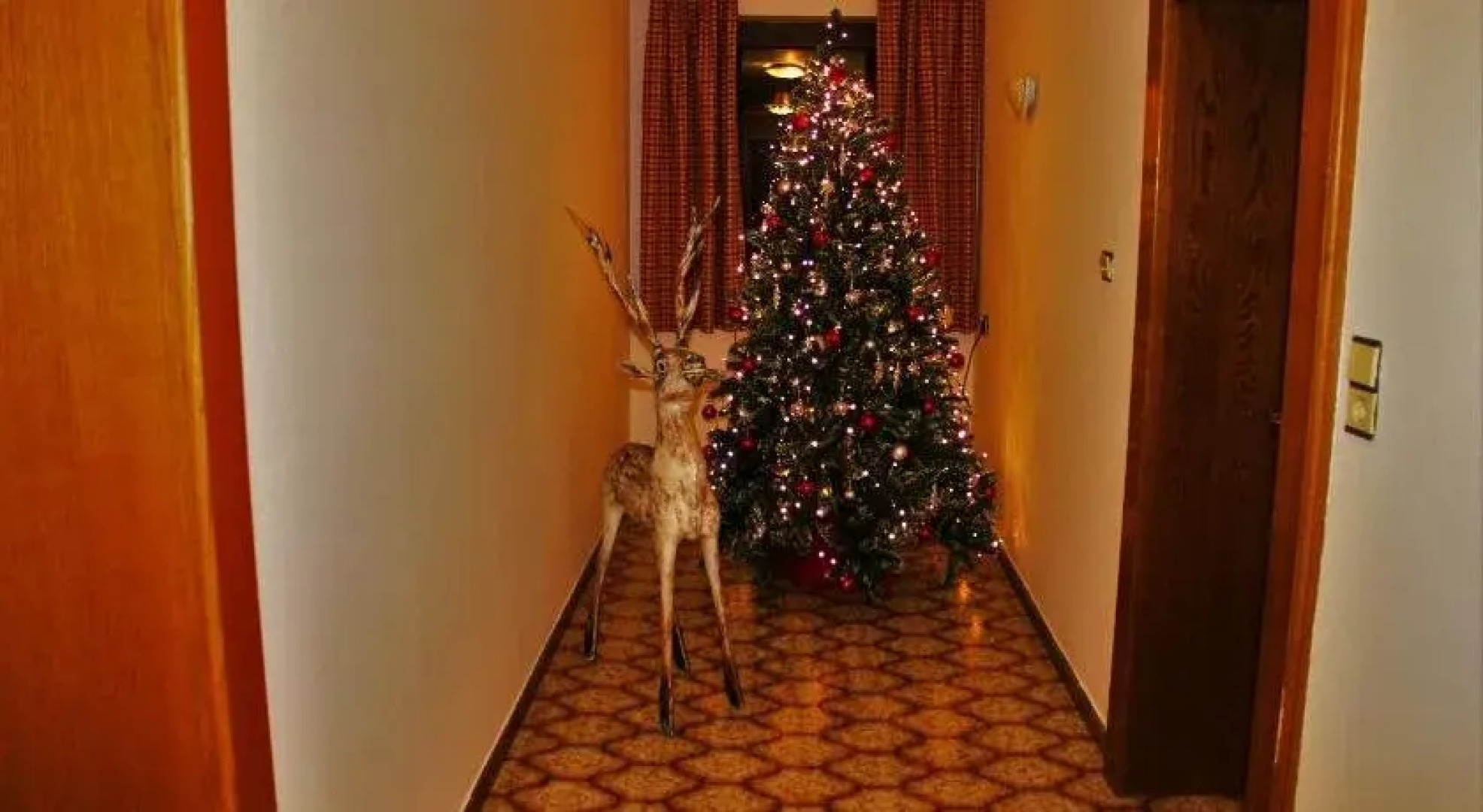 Bed & Breakfast Alpenzeit Flachau