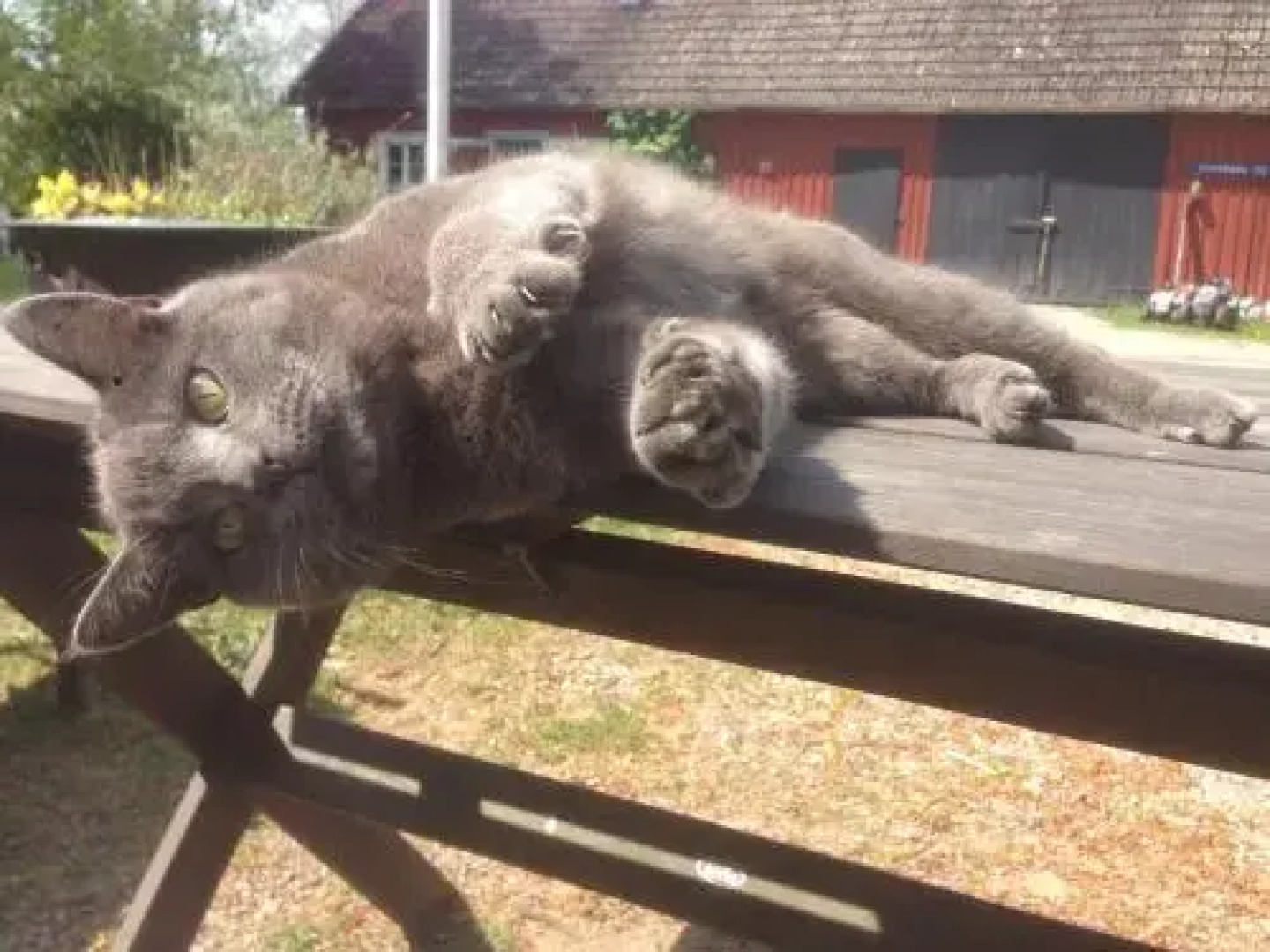 Bed & Balance Skansen Osby
