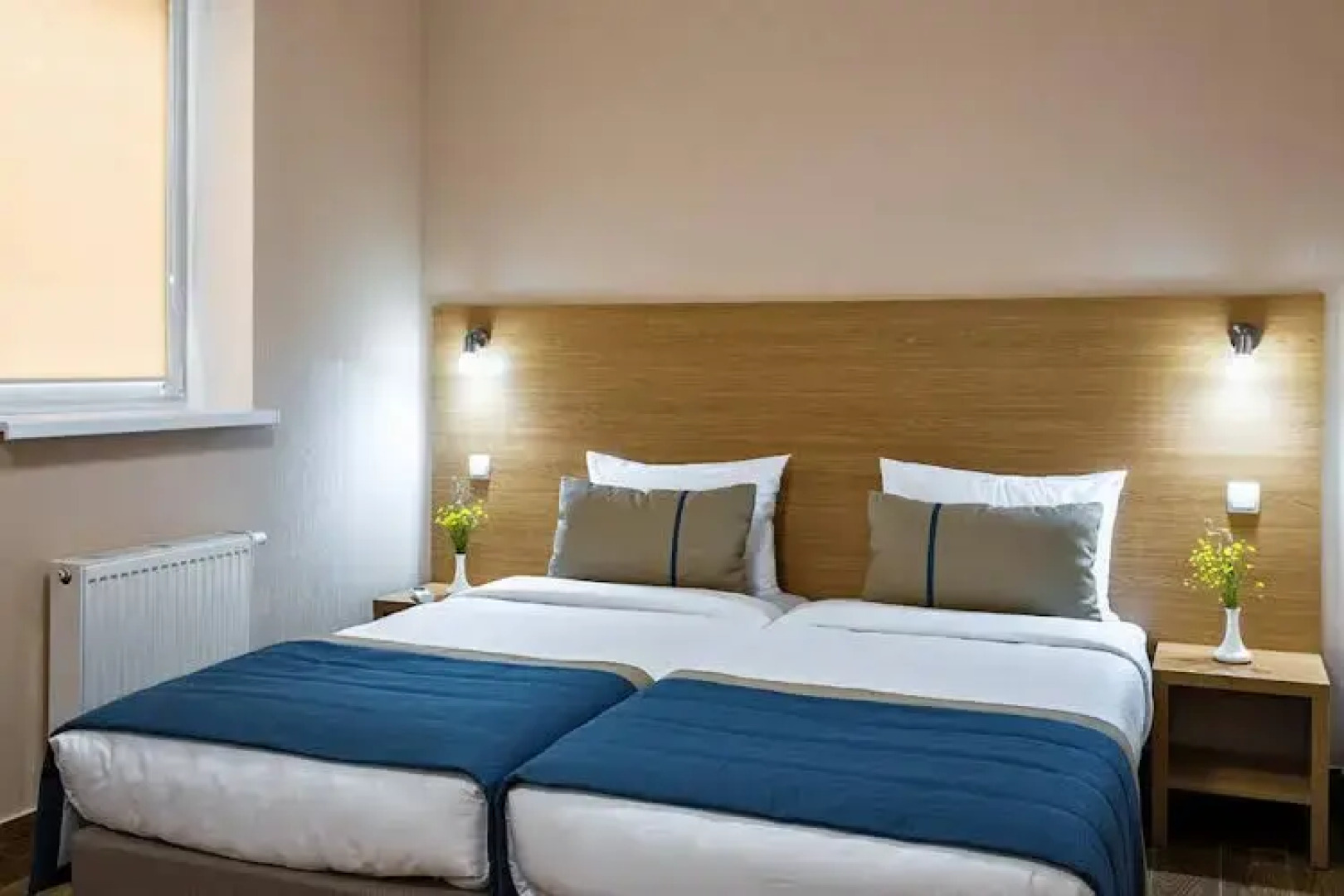 Дача на Десне