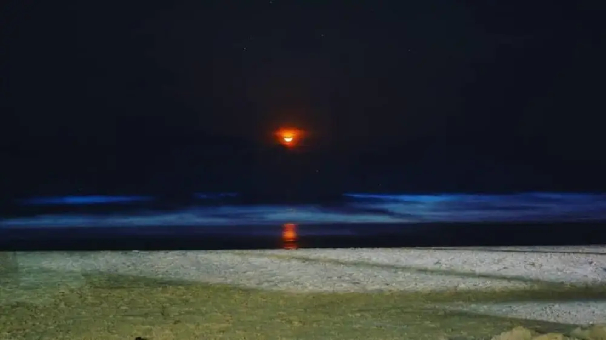 Trippr Gokarna