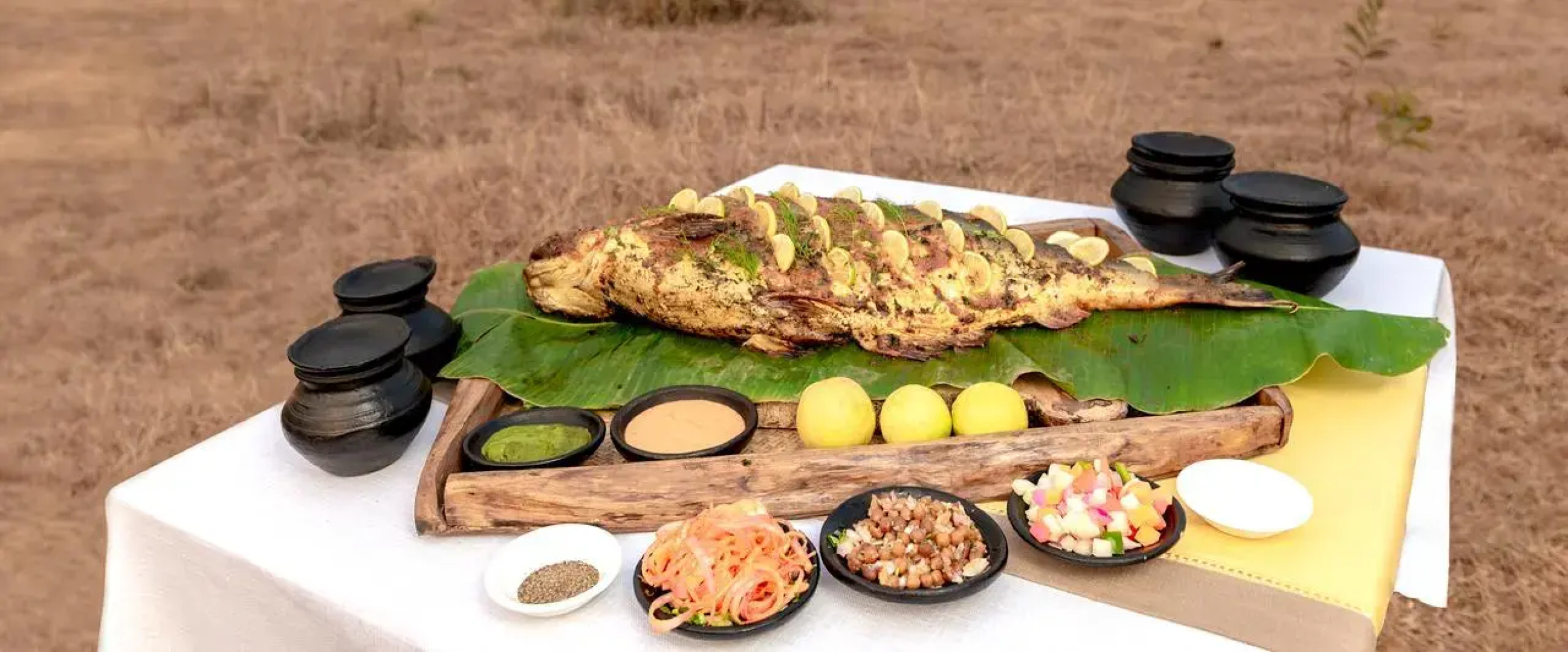 Banjaar Tola A Taj Safari Kanha National Park