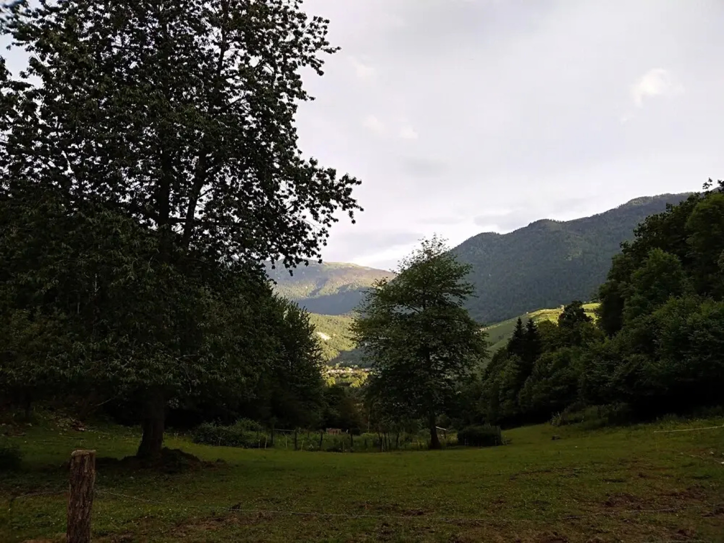 Les Insolites d'Eljie