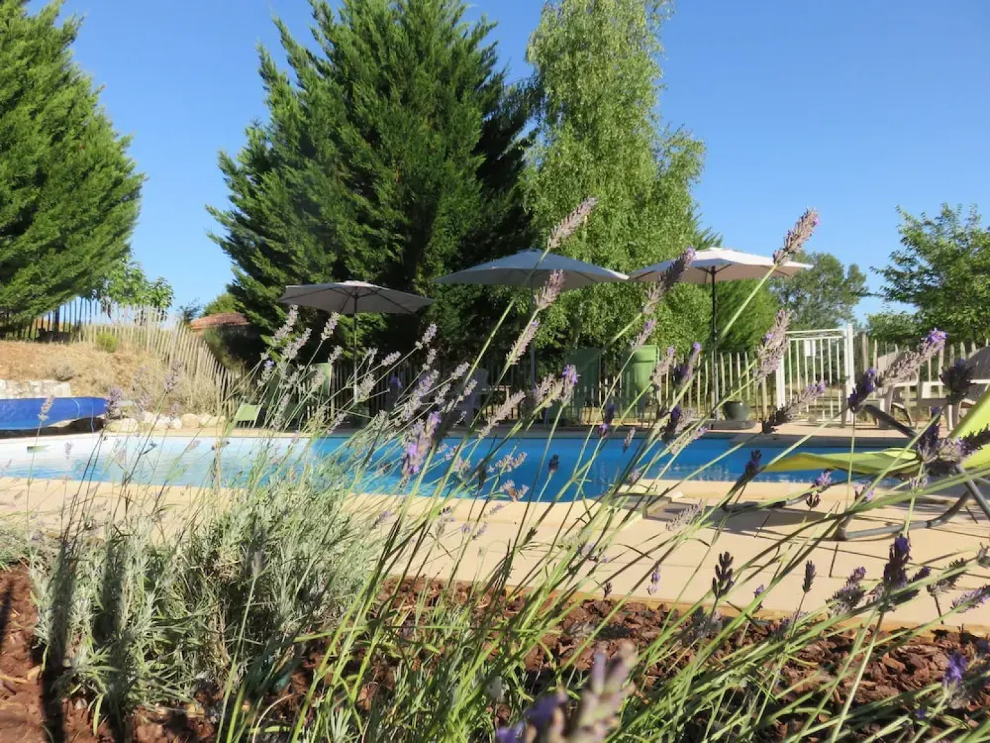 Le Domaine Du Chasselas