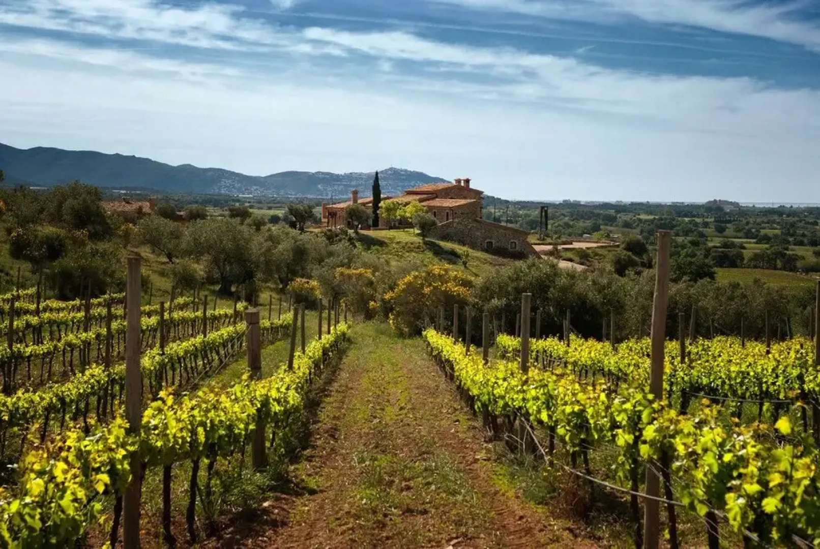 Mas Espelt