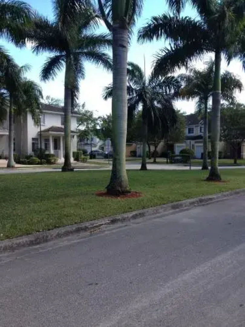 Speedway Blvd Townhouse