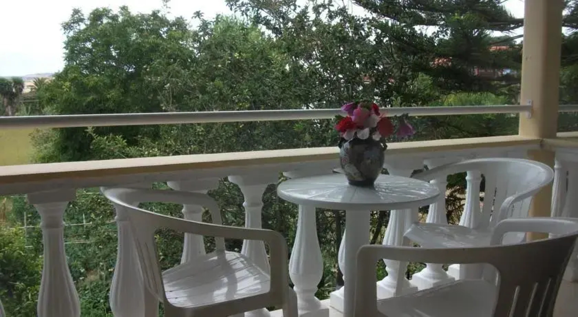 Alexandros Walnuttree Arillas Corfu