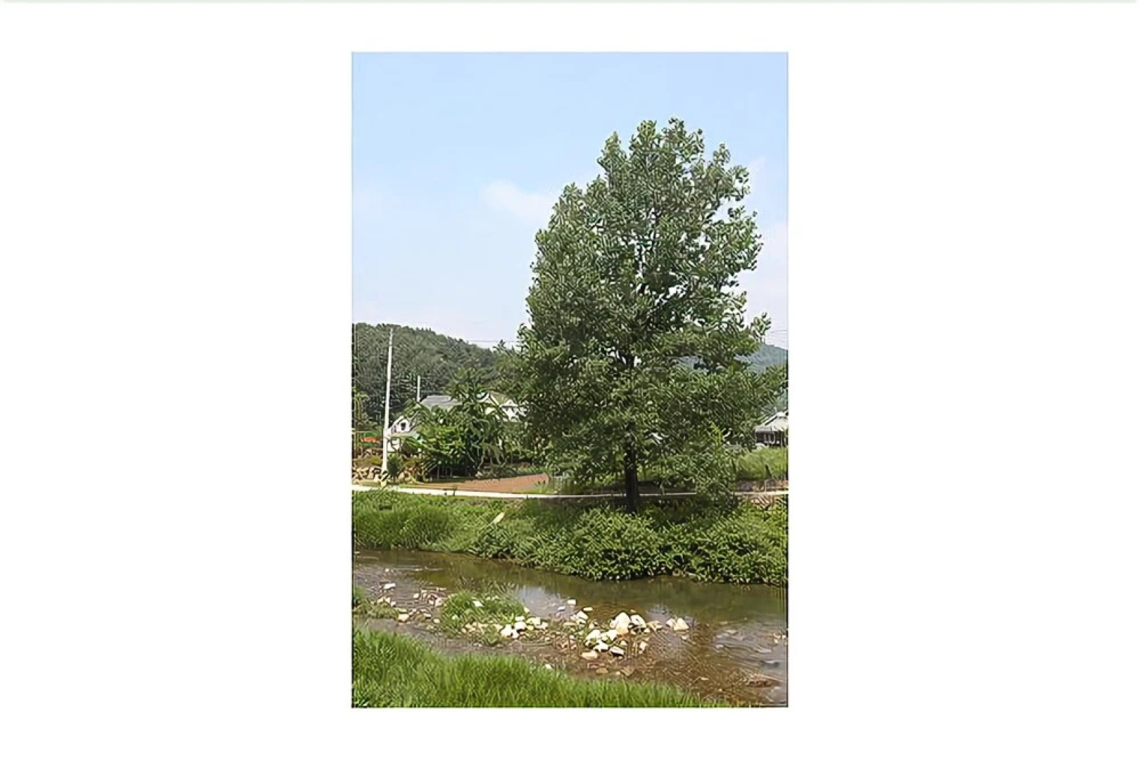 Yangpyeong So Pung Pension