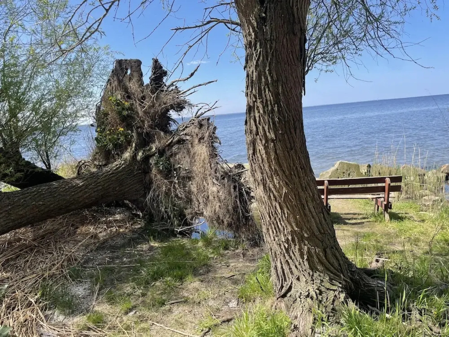 Villasleeps23-gaden-parking-partiesok-lake