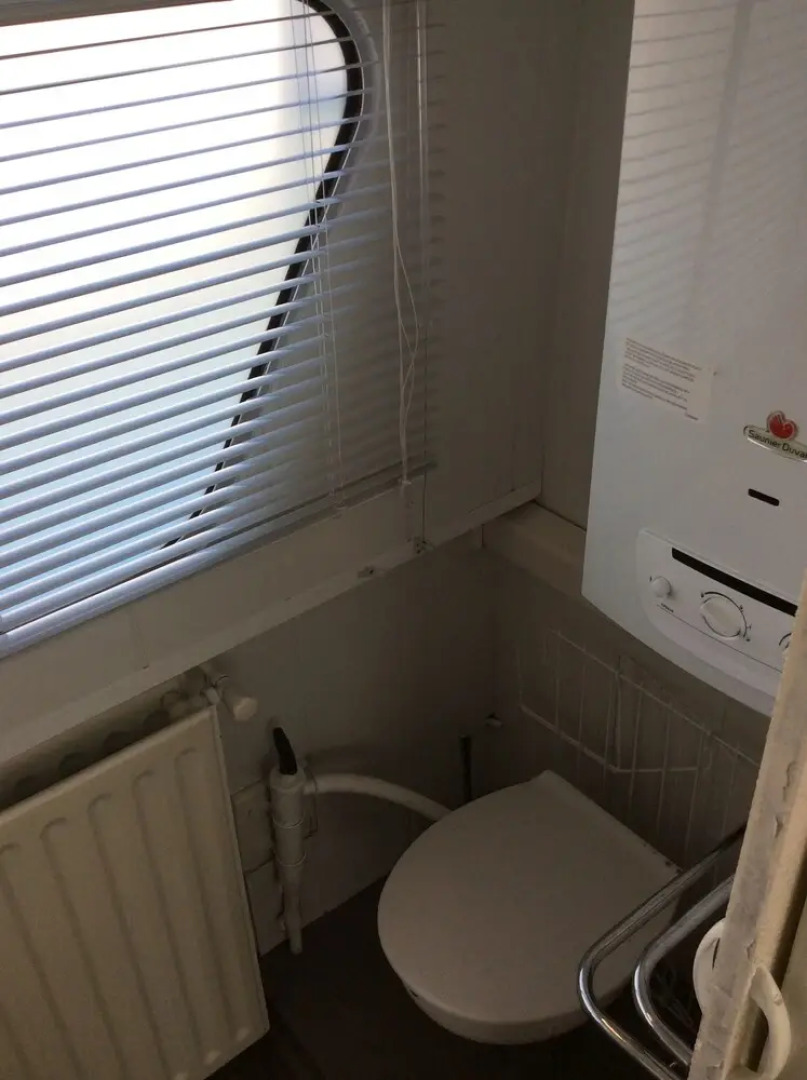 Penichette Oiseau Bleu