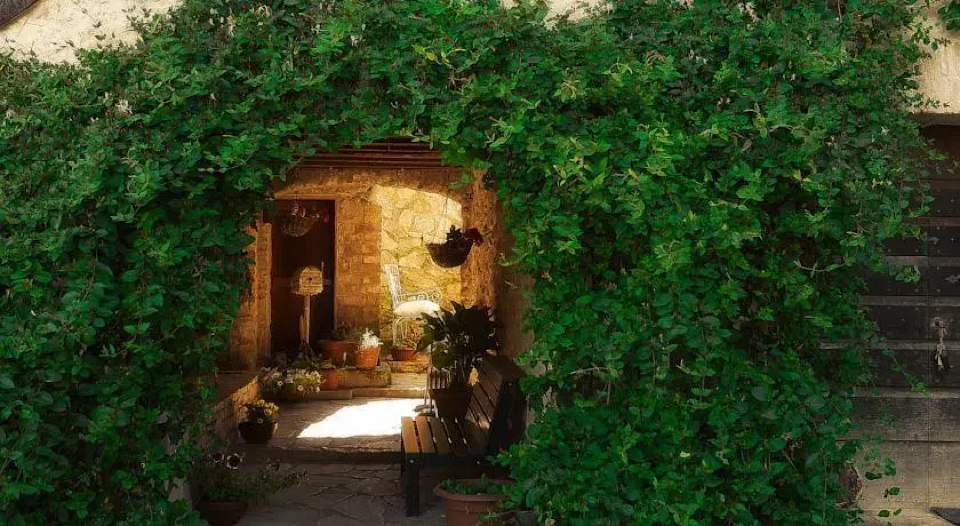 Tenuta Cavalieri di Scanzano