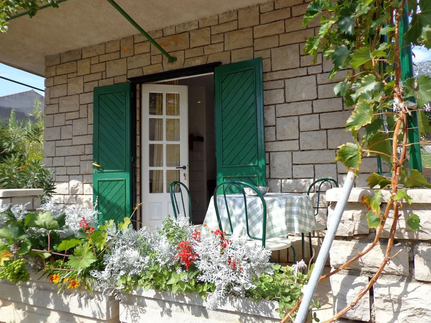 Apartment Brane - 150m from sea: A1 Bol, Island Brac