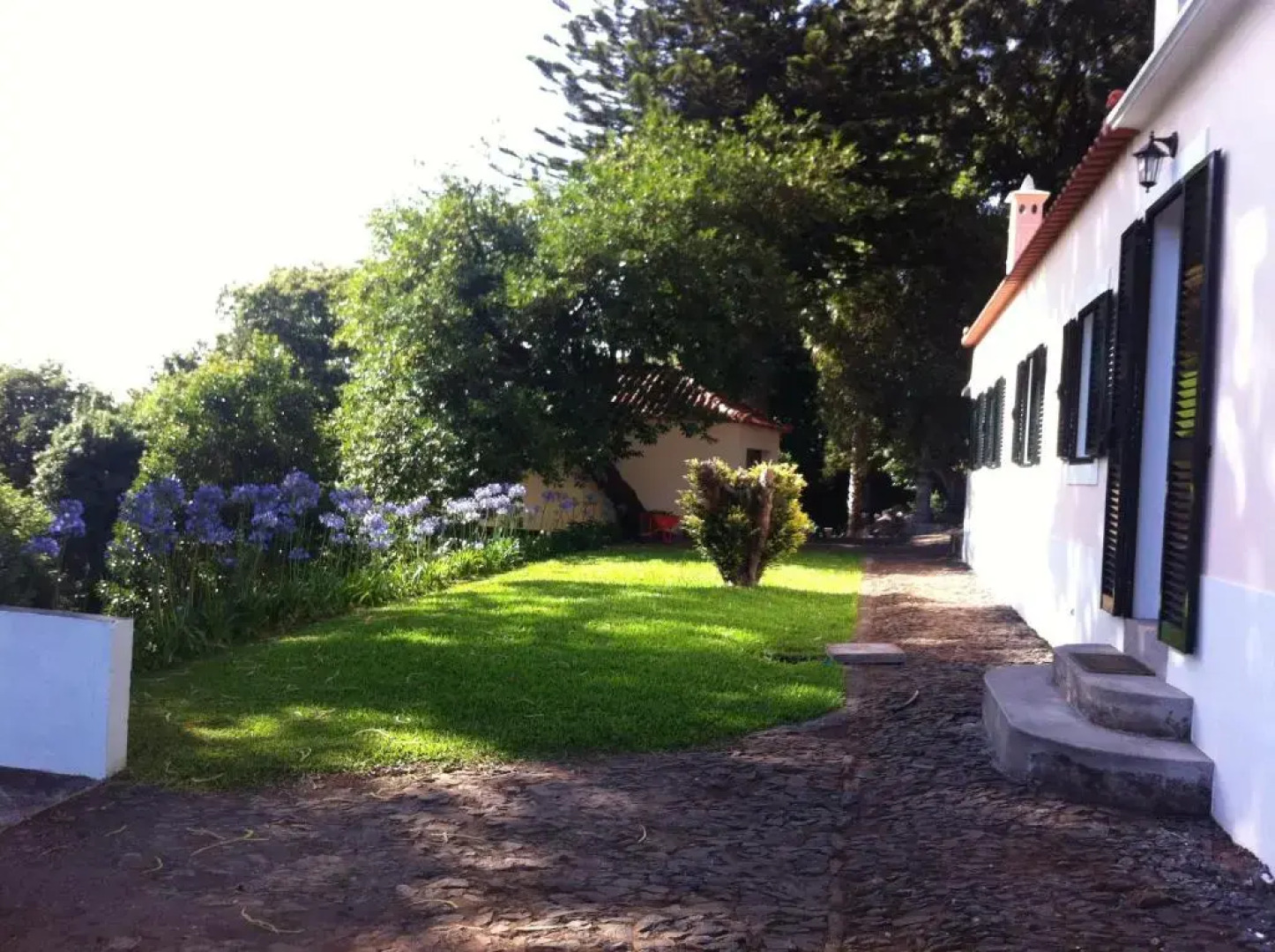 Quintinha de Palmyra