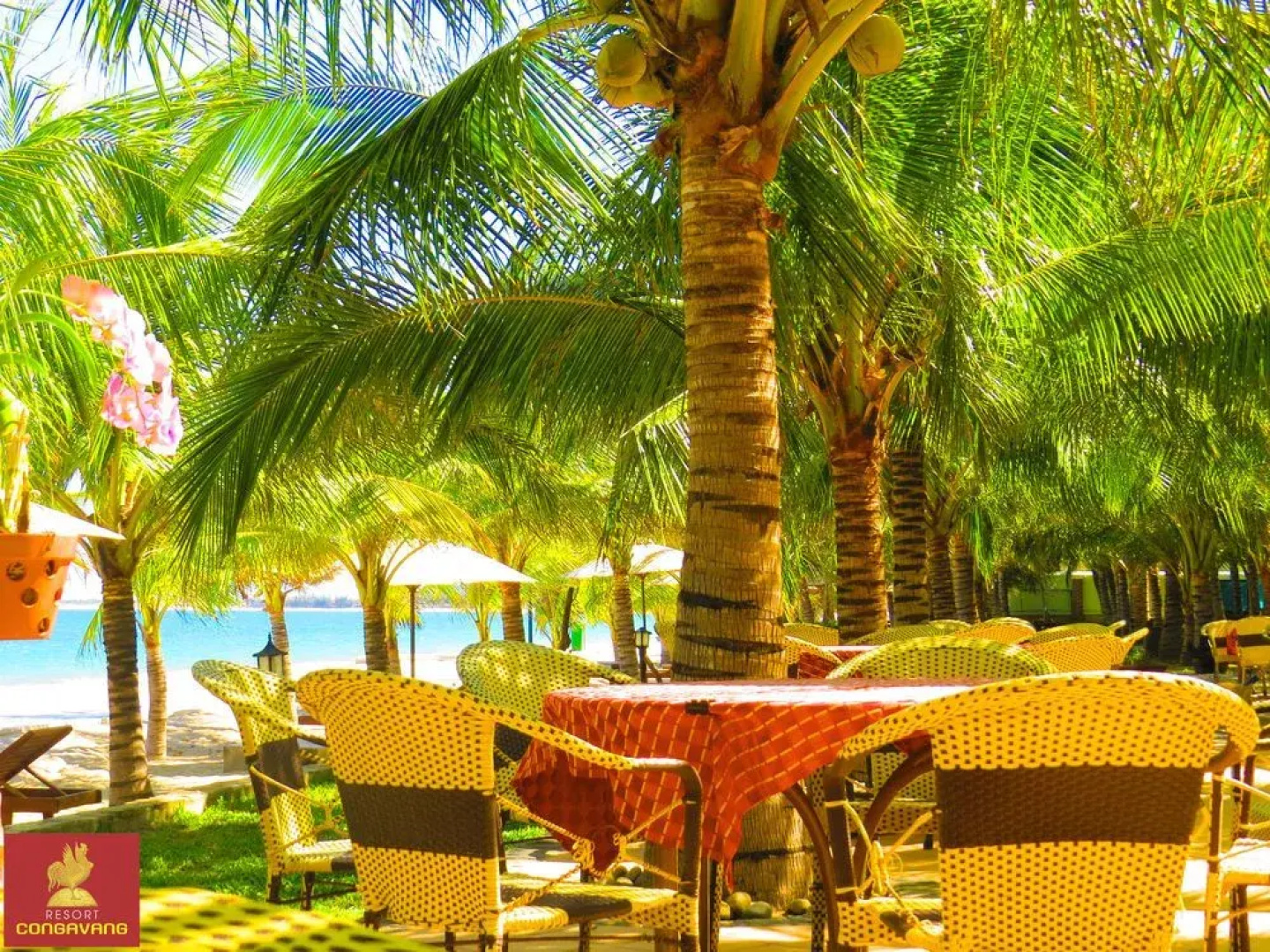 Gold Rooster Resort