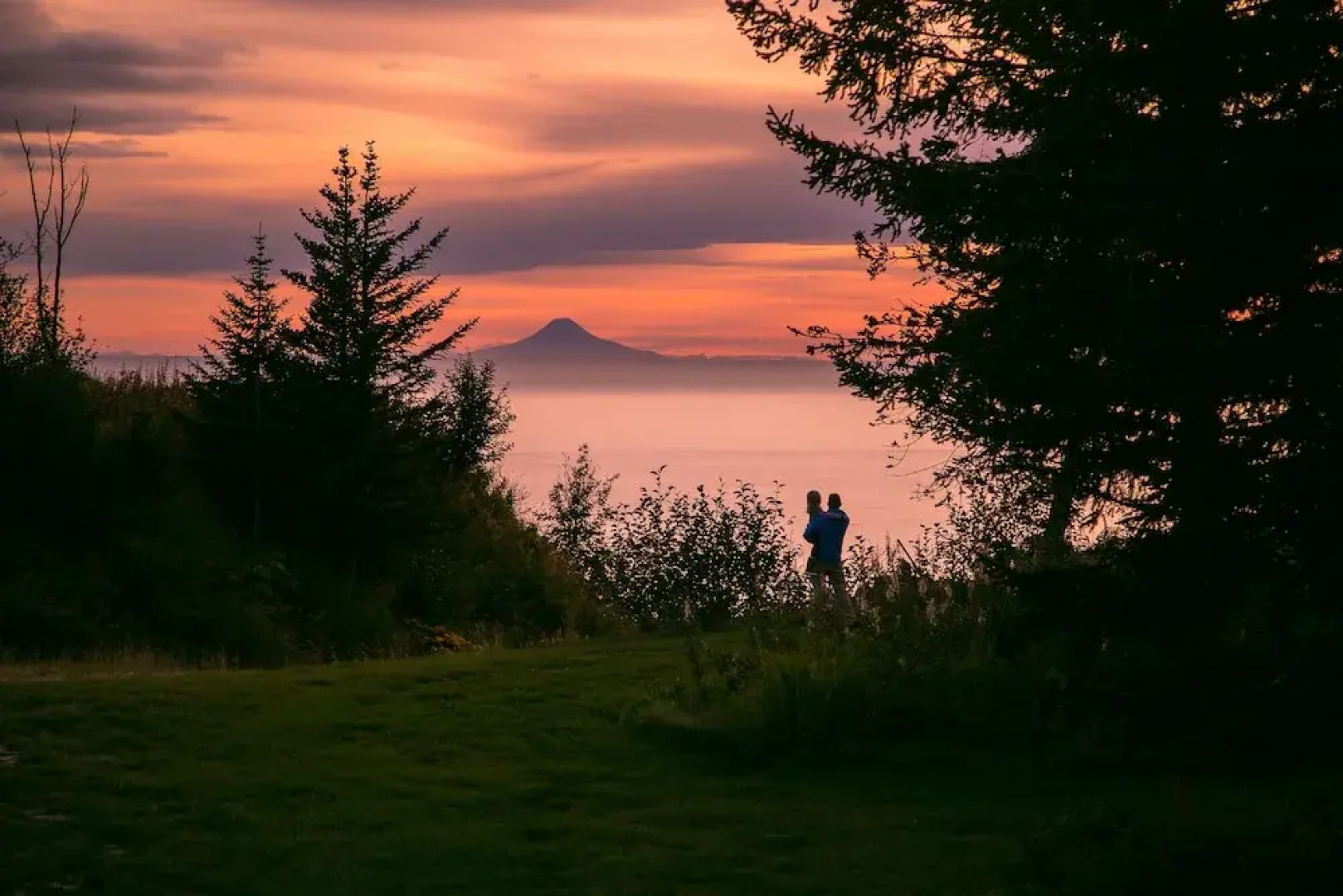 Kenai Peninsula Suites