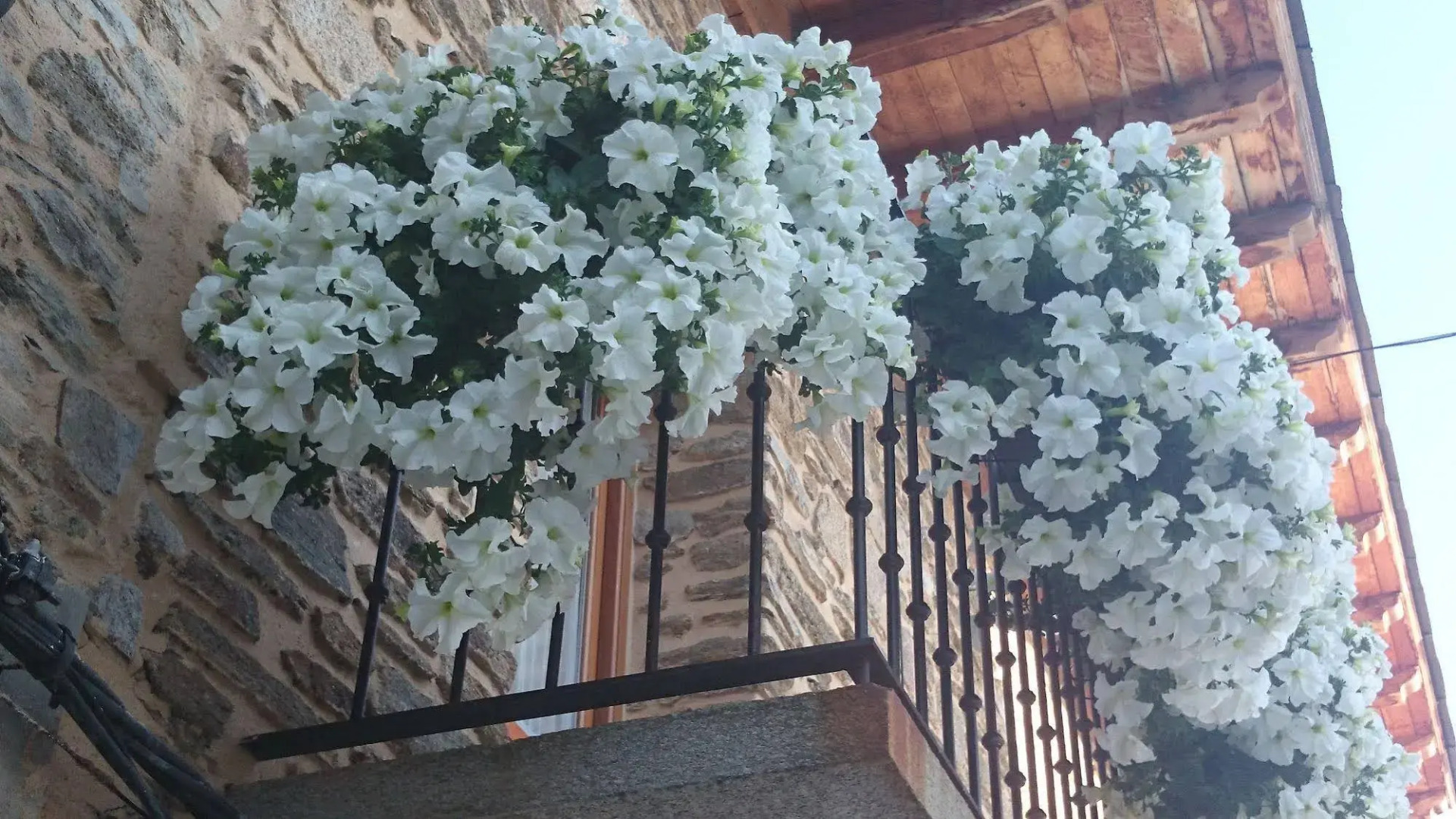 Posada Real La Pascasia