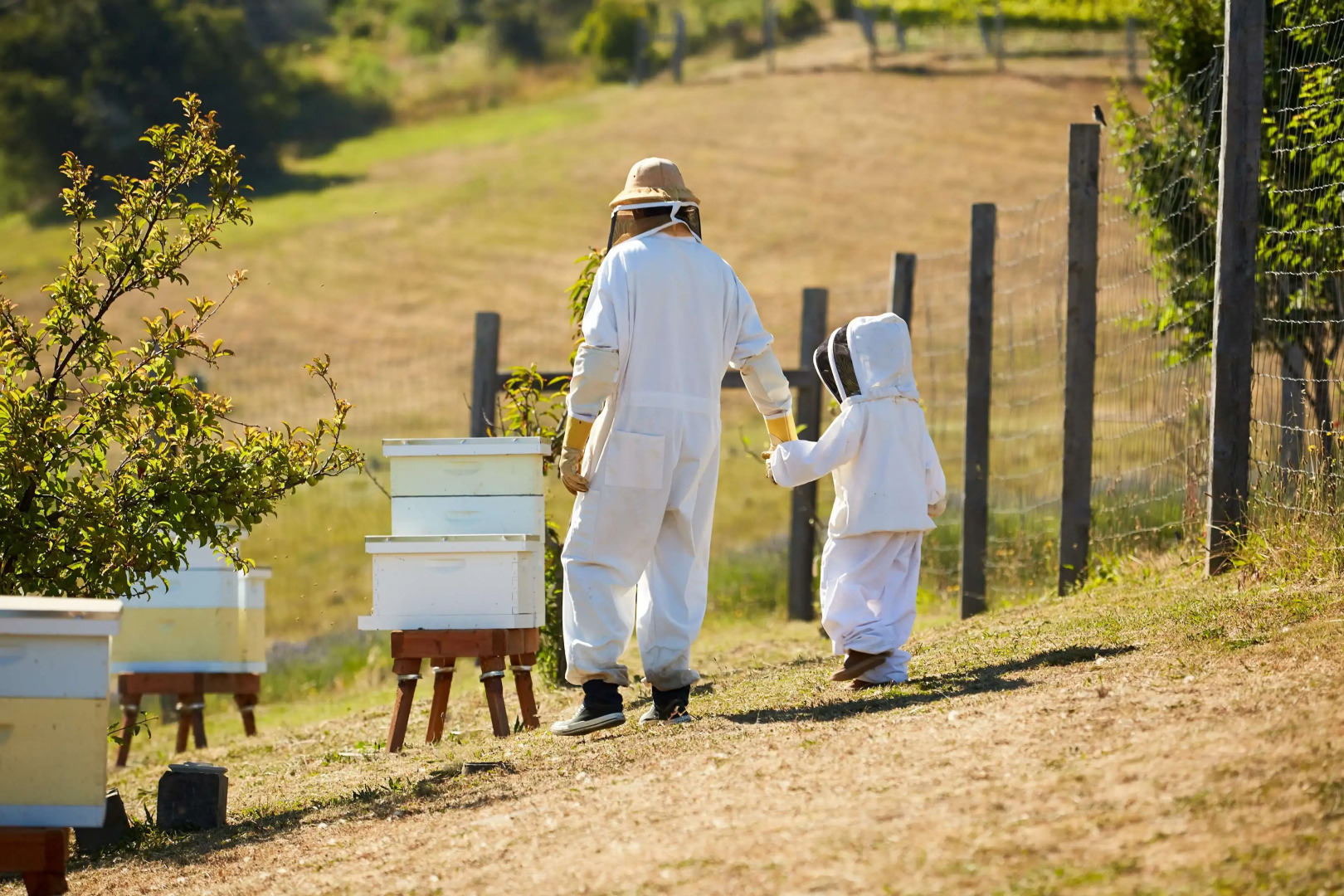 Carmel Valley Ranch, in The Unbound Collection by Hyatt