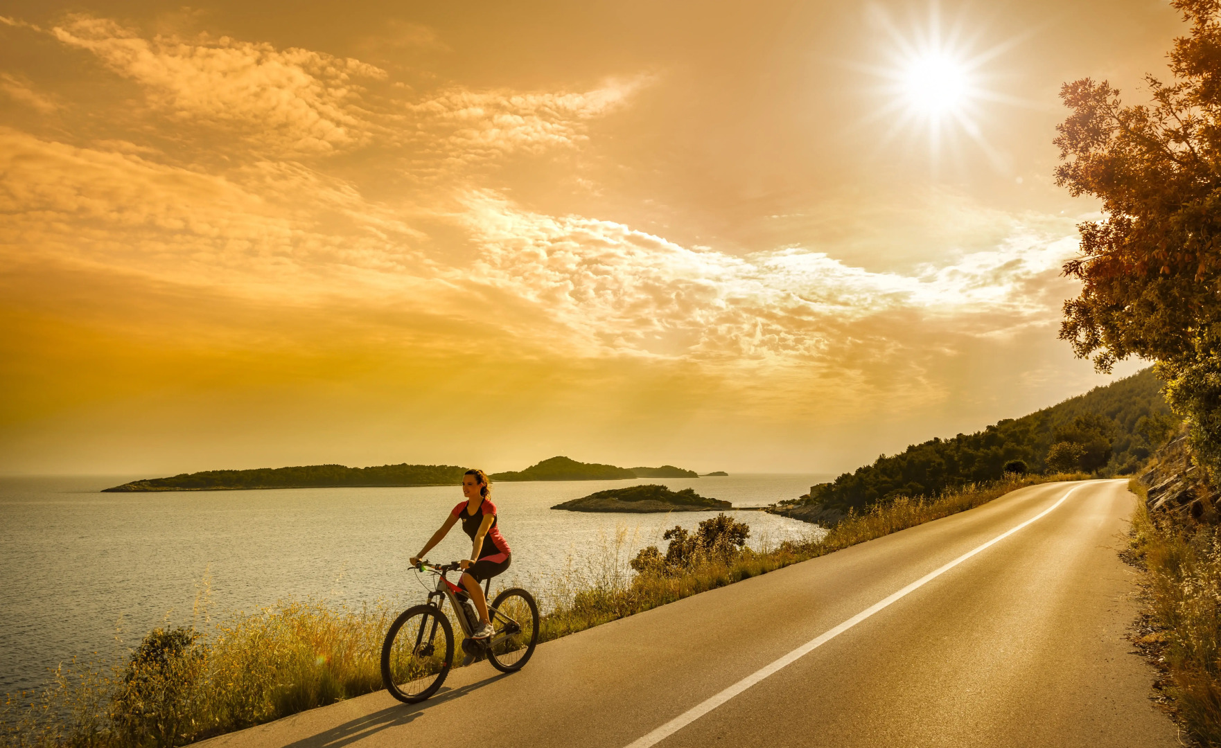 Hotel Feral – Все включено Light