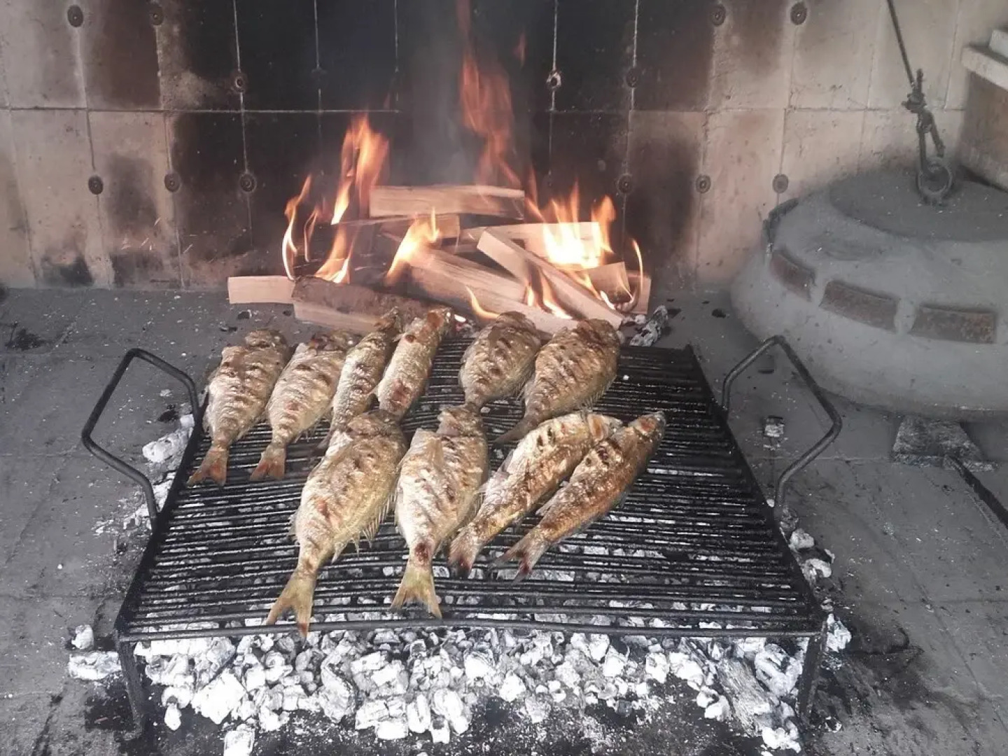 Adriatic - With Beautiful Garden - A1