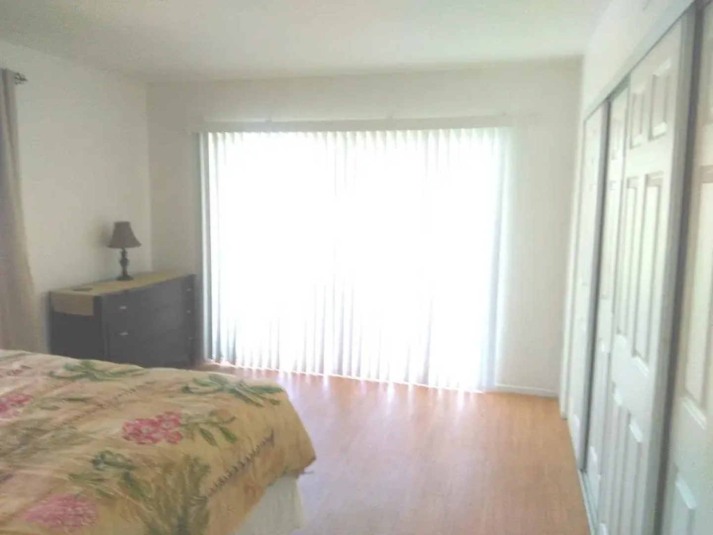 Tropical Dreams - Sarasota Condos Near Siesta Key