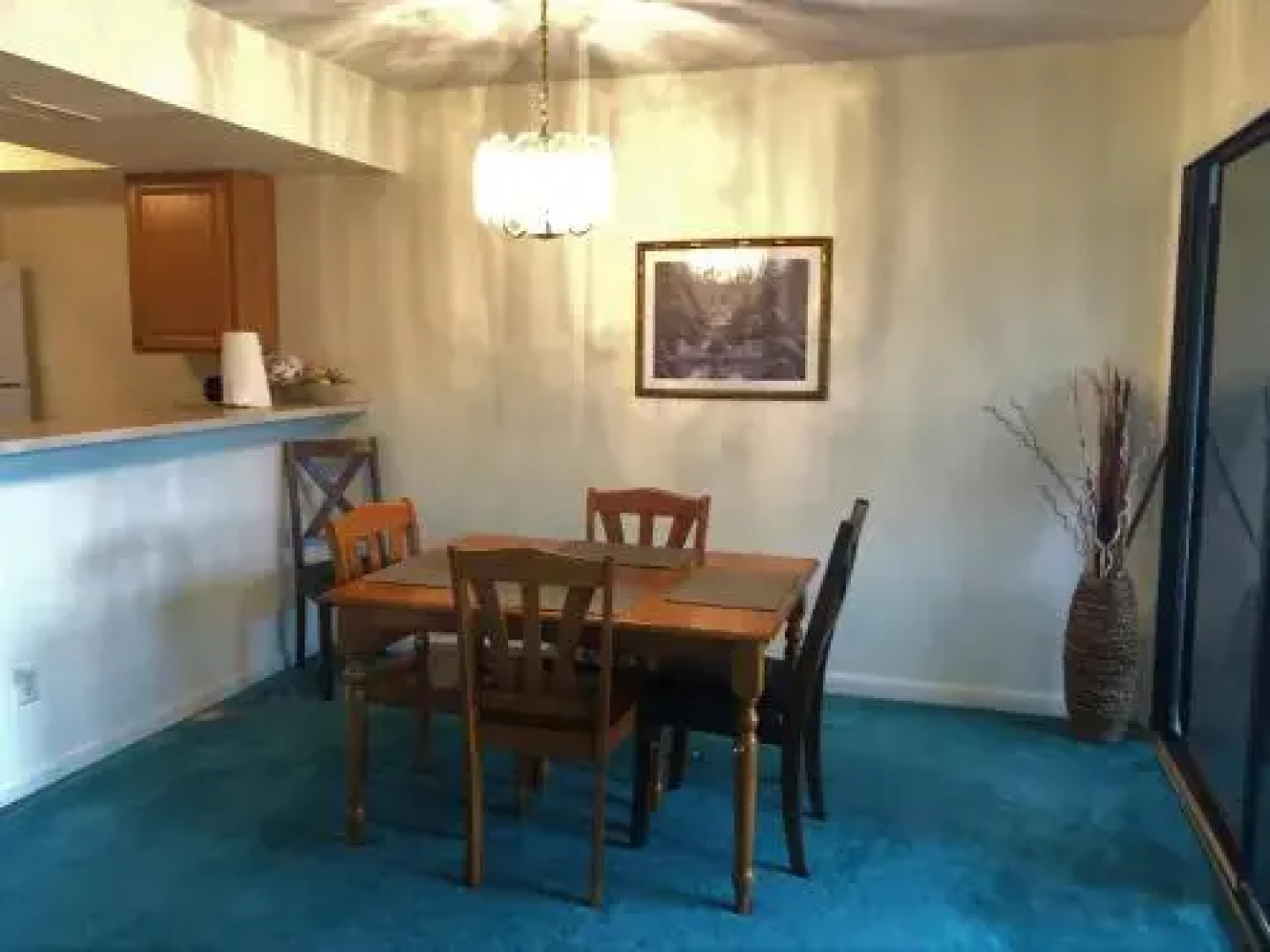 Ocean Village Coral Cluster 1023