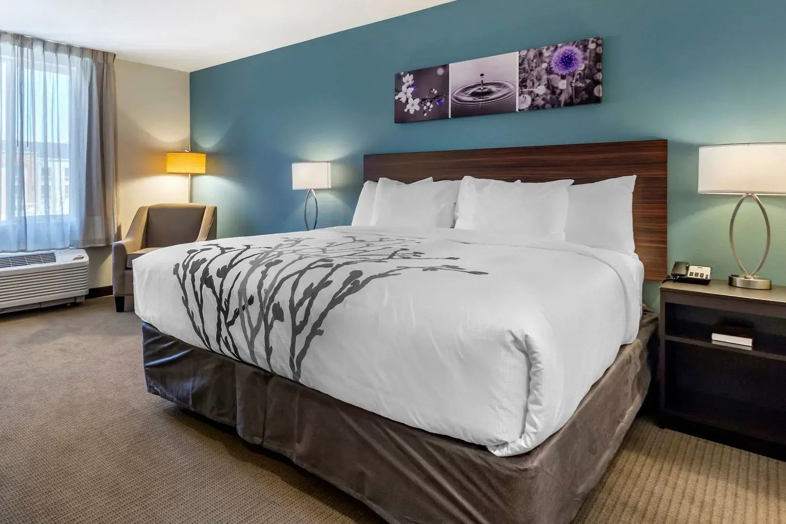 Sleep Inn & Suites Wenatchee