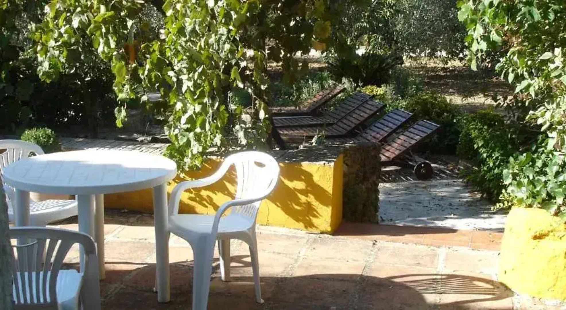 Antiguo Molino