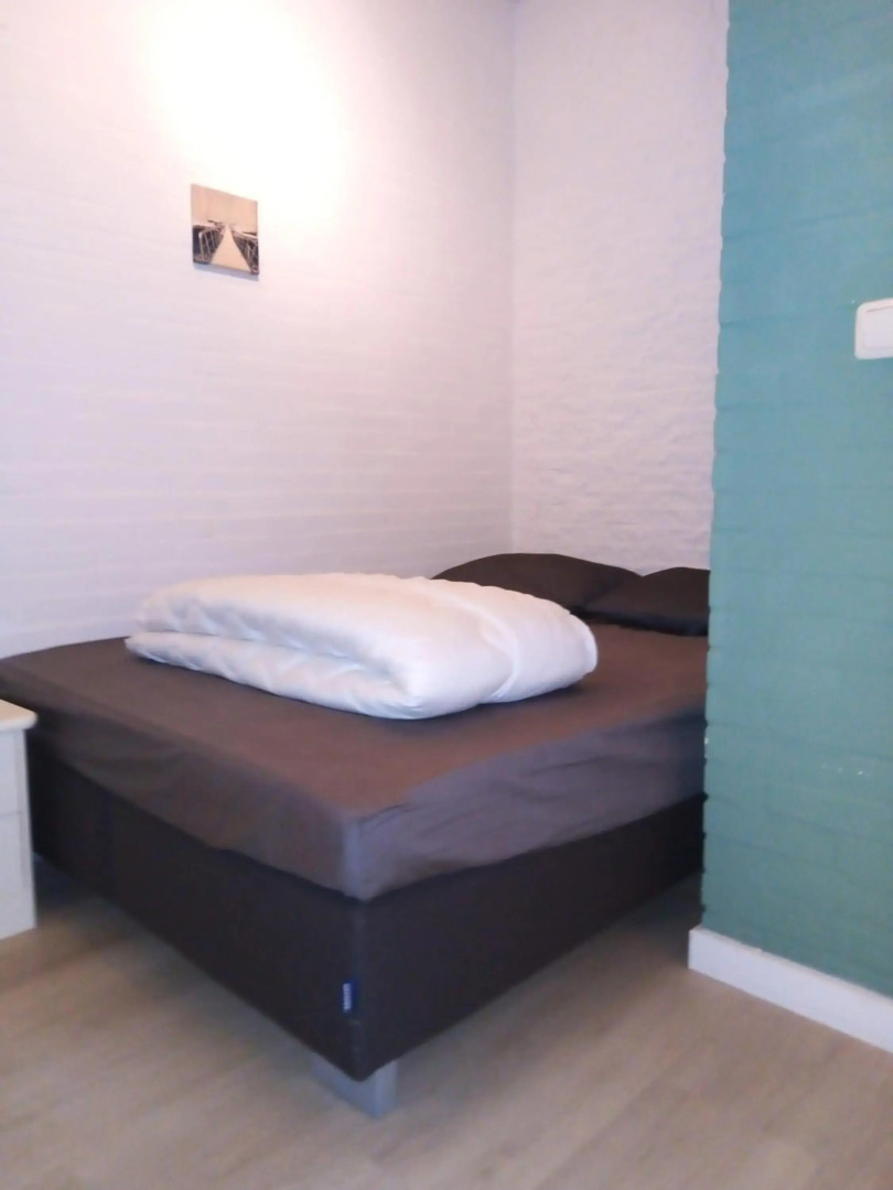 De Tureluur Bruinisse