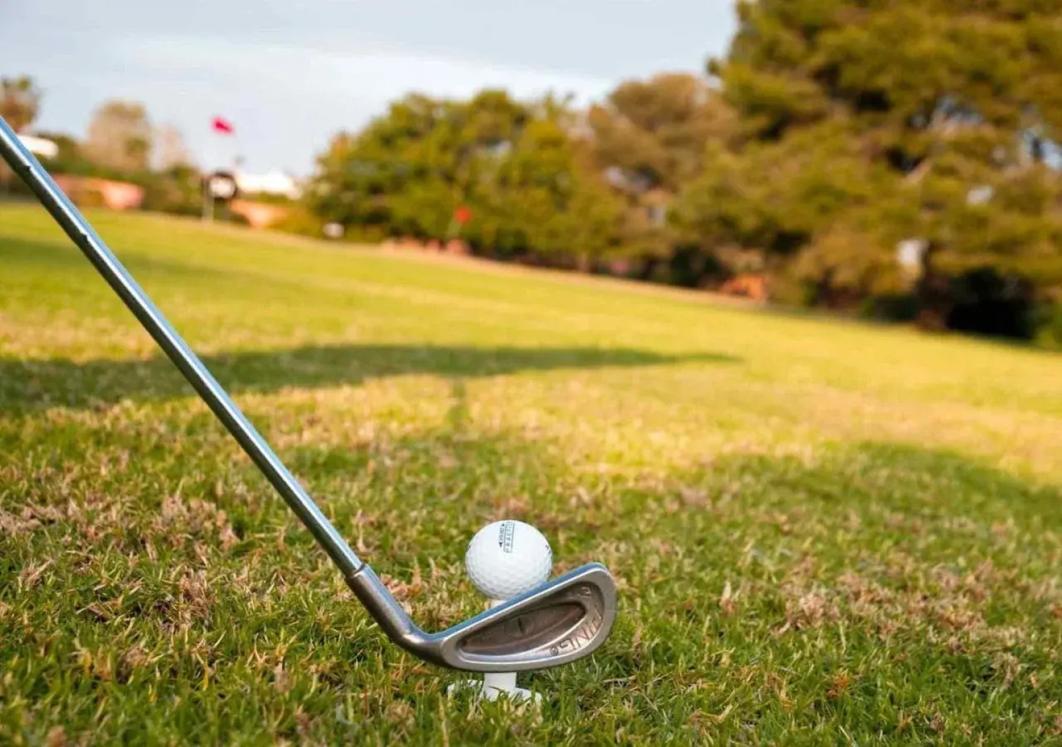 Sofitel Rabat Jardin des Roses