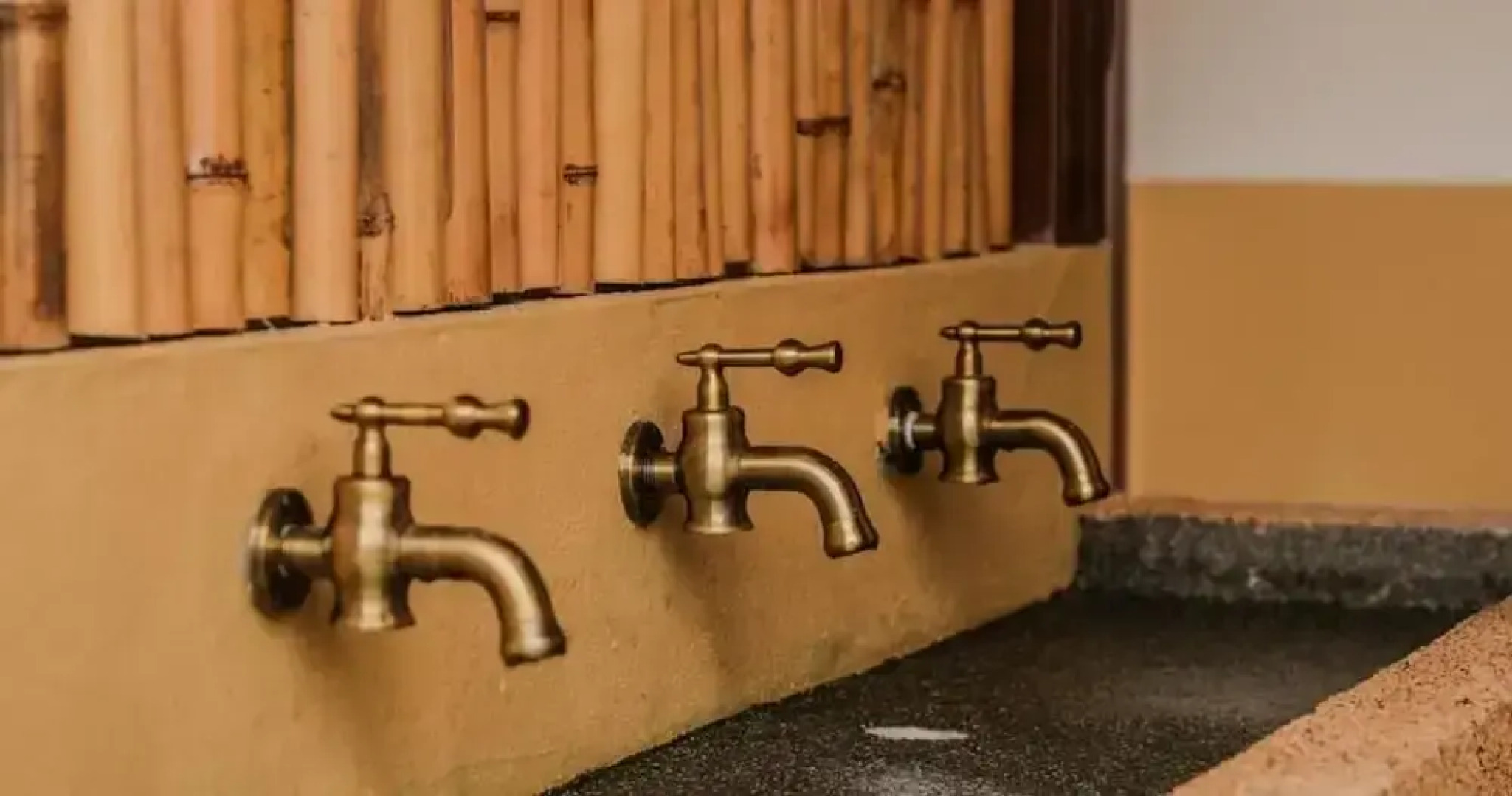 Zen By Stellar Cameron