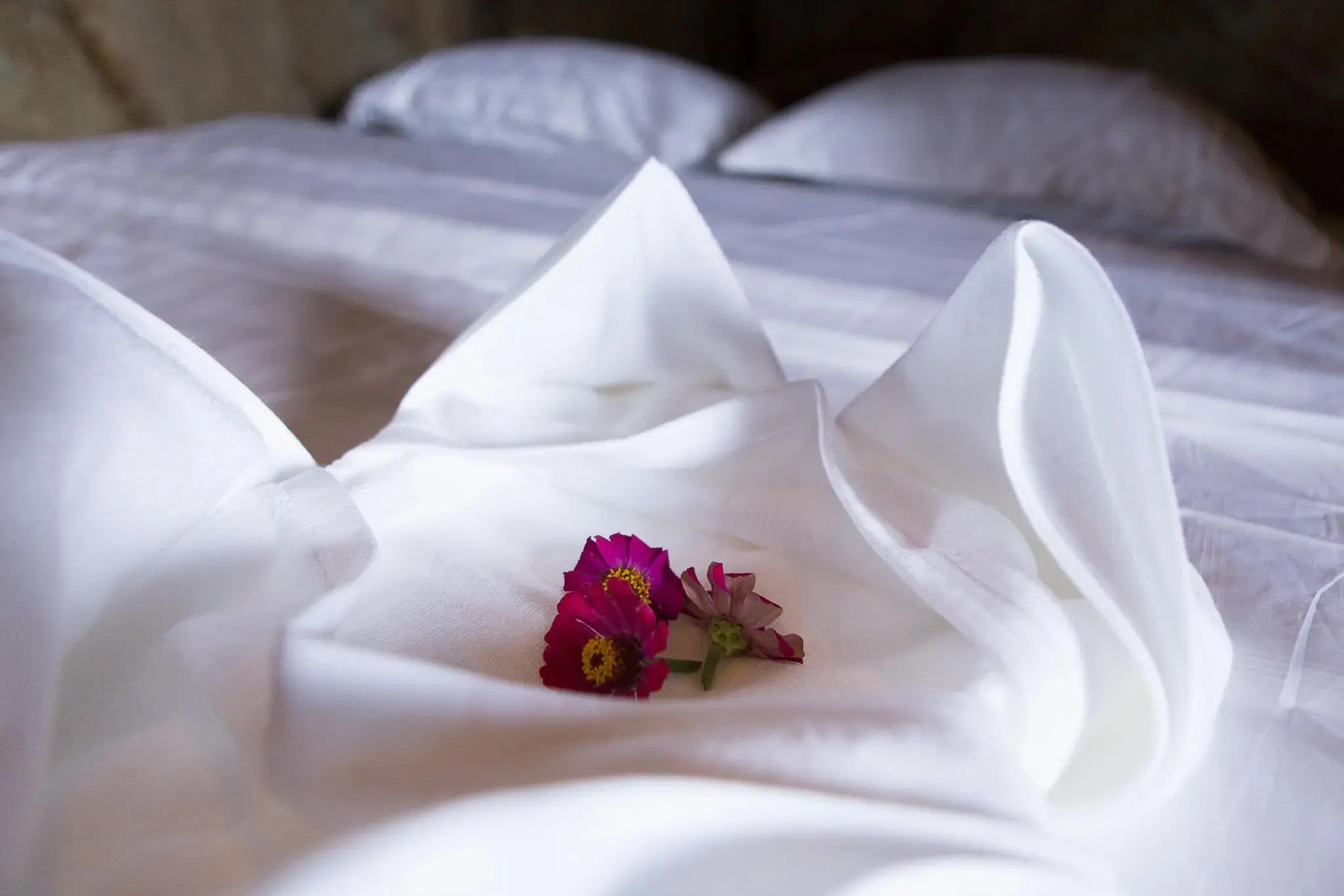 The Tara Cape Resort