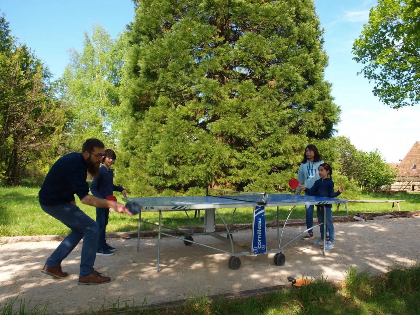 Lovely Cottage in Peyzac-le-moustier With Terrace
