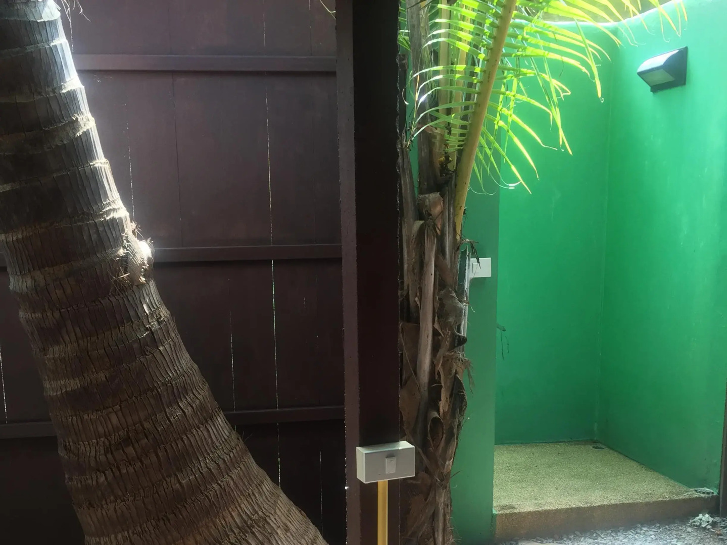 Tropical Garden Lounge