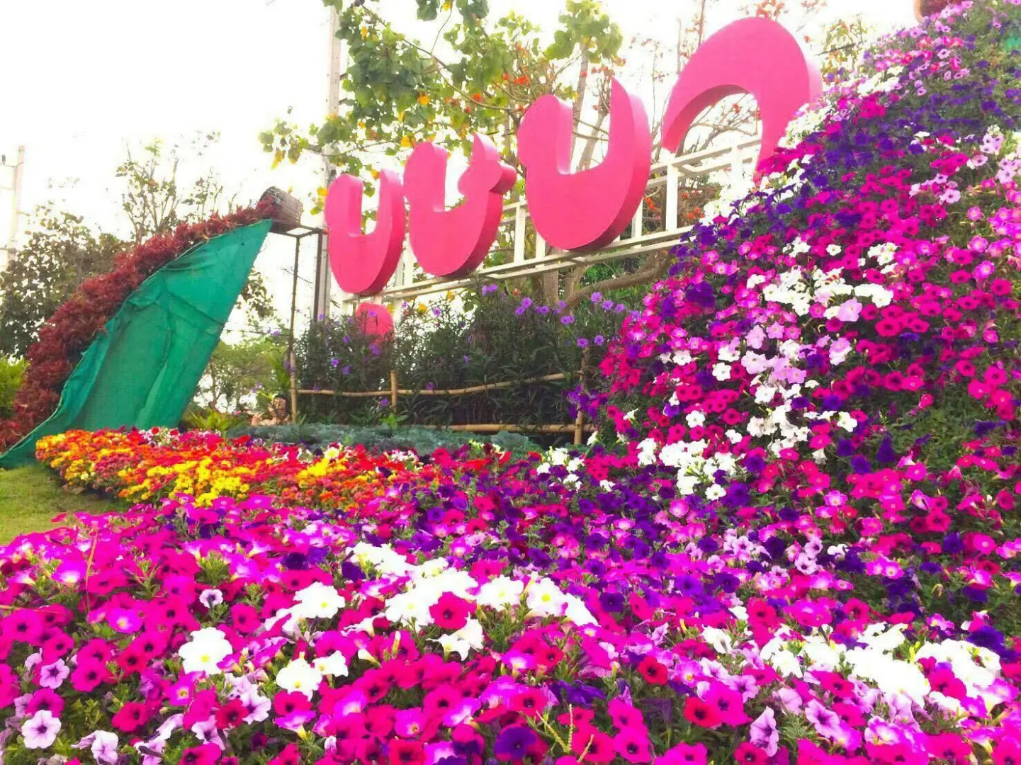 Phurua Bussaba Resort & Spa