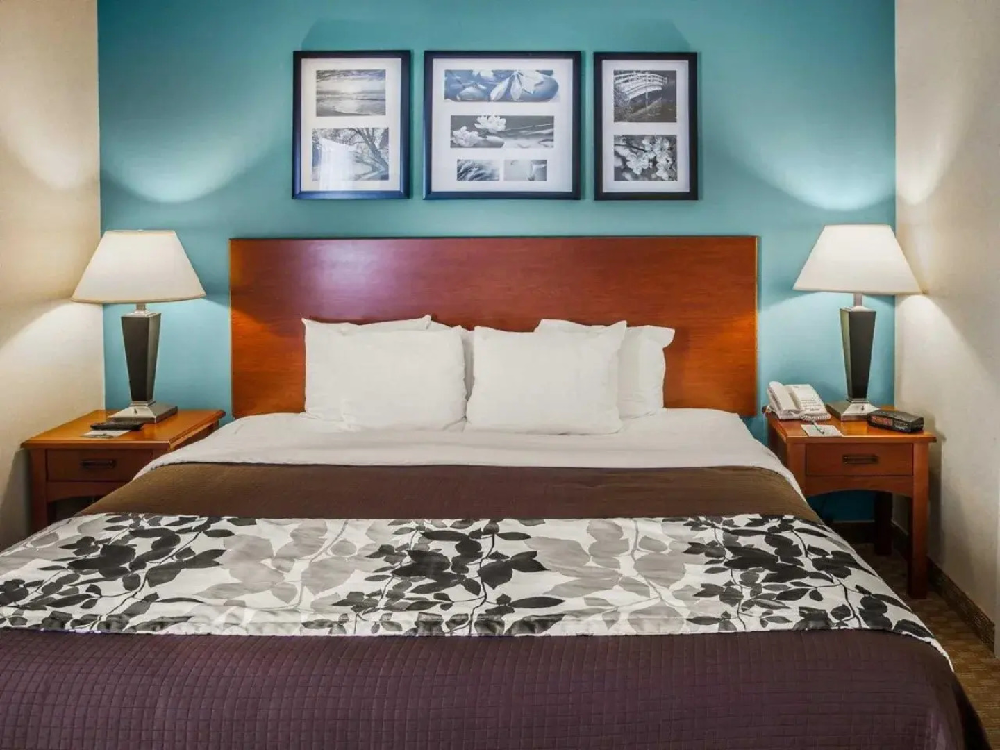 Sleep Inn & Suites Rehoboth Beach