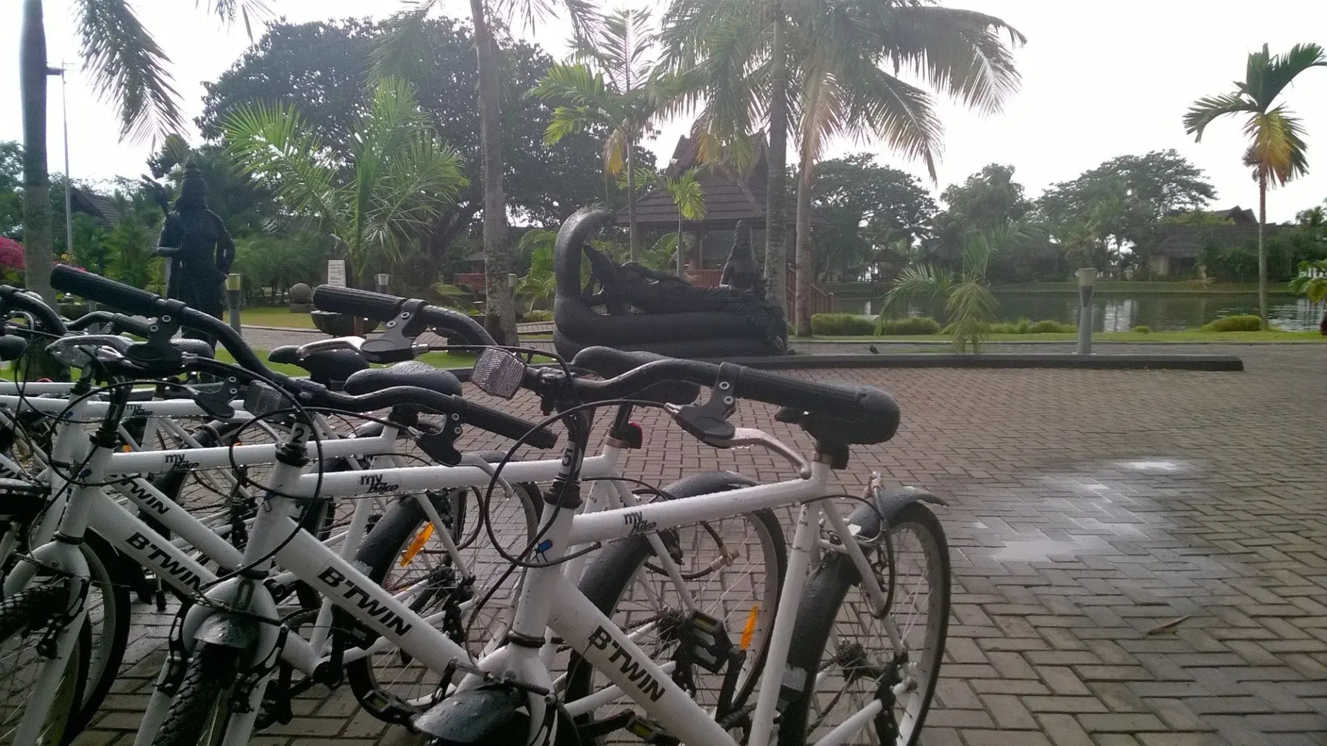 The Zuri Kumarakom Kerala Resort & Spa