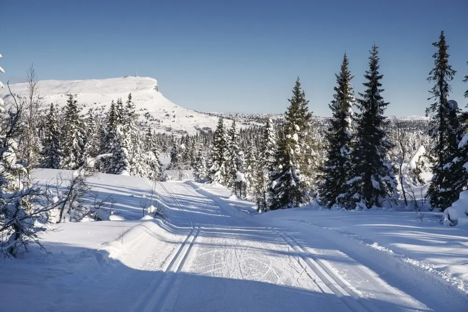 Skeikampen Servicesenter