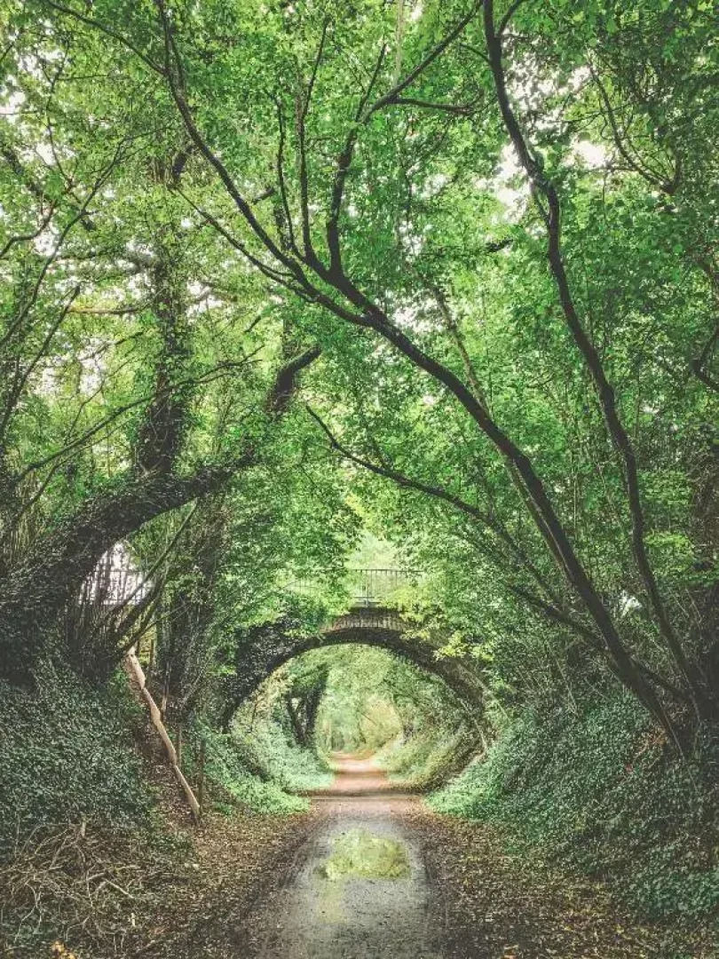 La Clef Des Champs 61