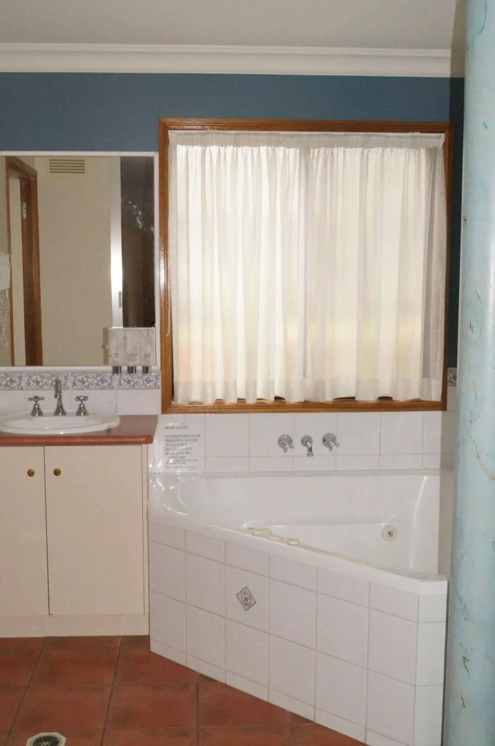 Asters on James Motor Inn