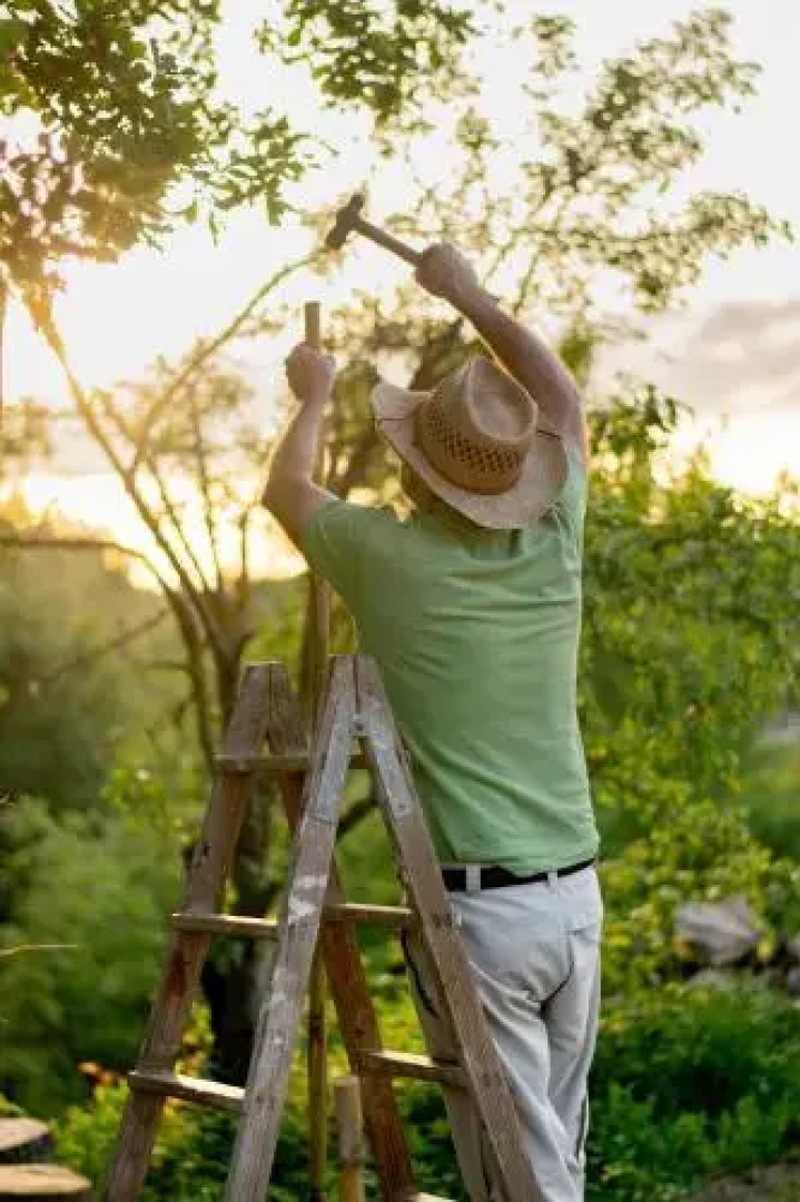 Mas Trucafort - Adults Only