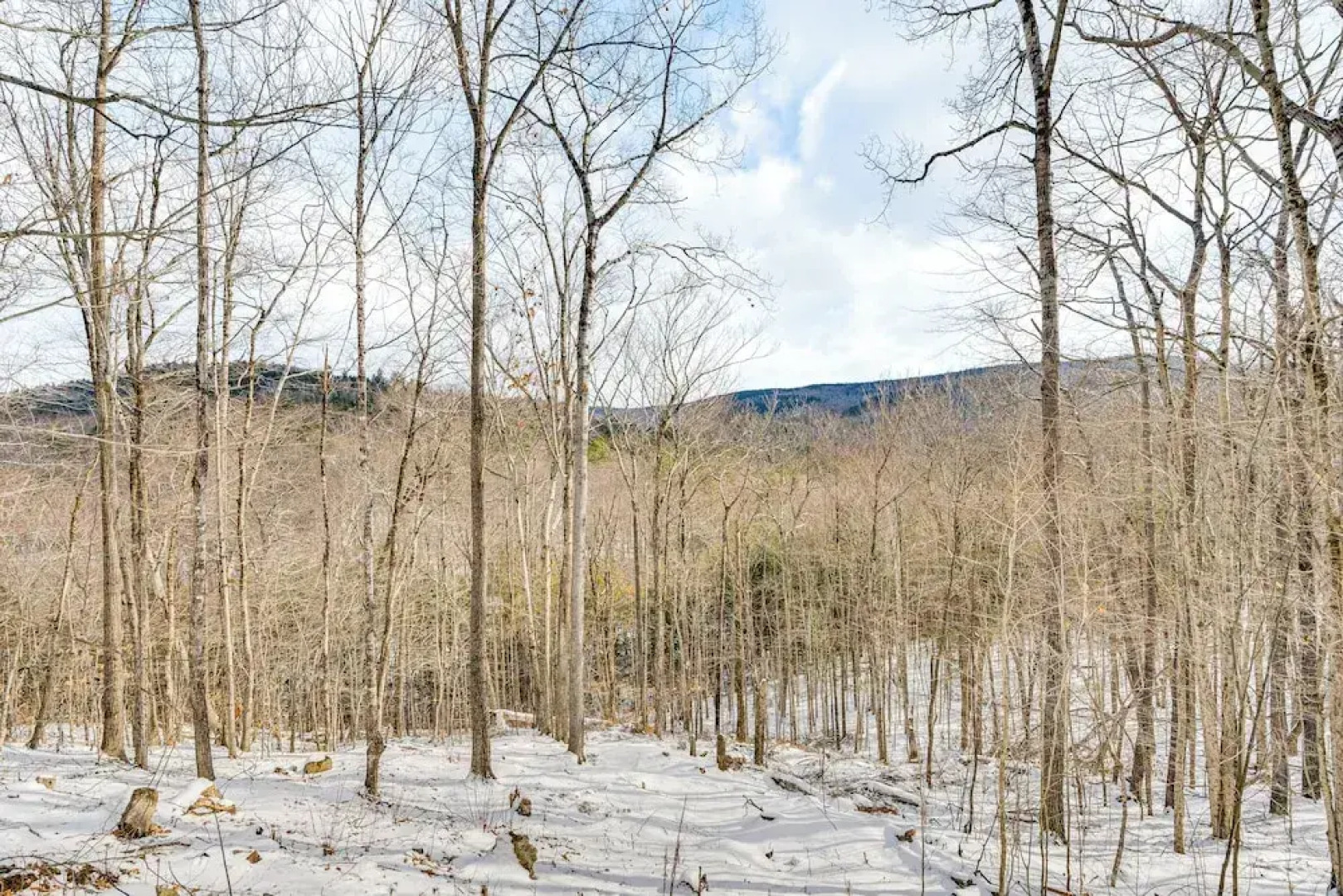 Ski, Hike & More: White Mountains Family Home