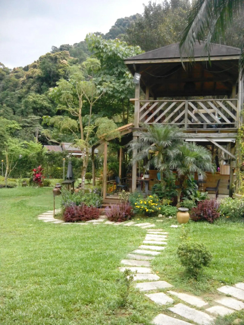 Taiwan Reishi Expert Bed and Breakfast
