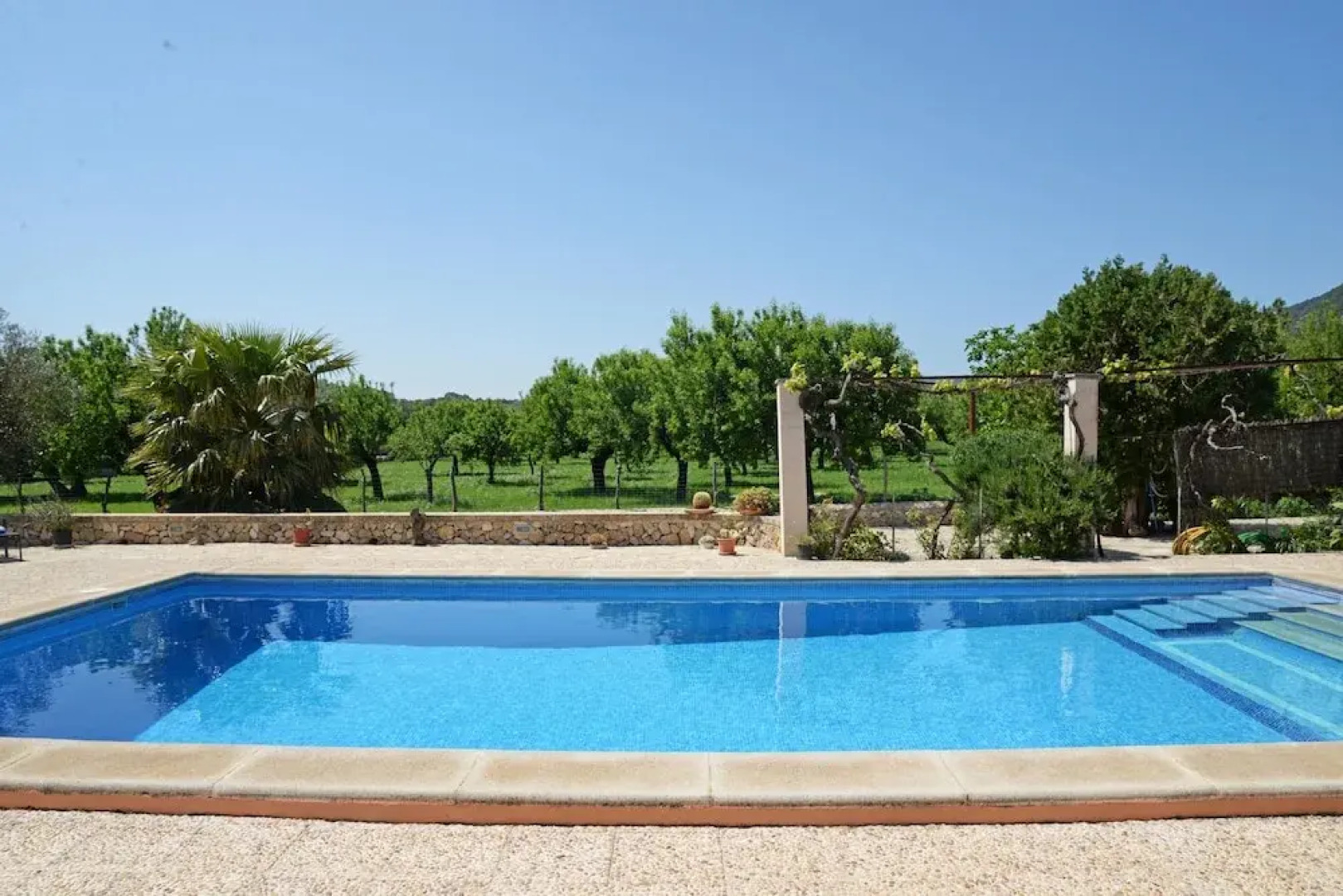 SA Parellada - Premium