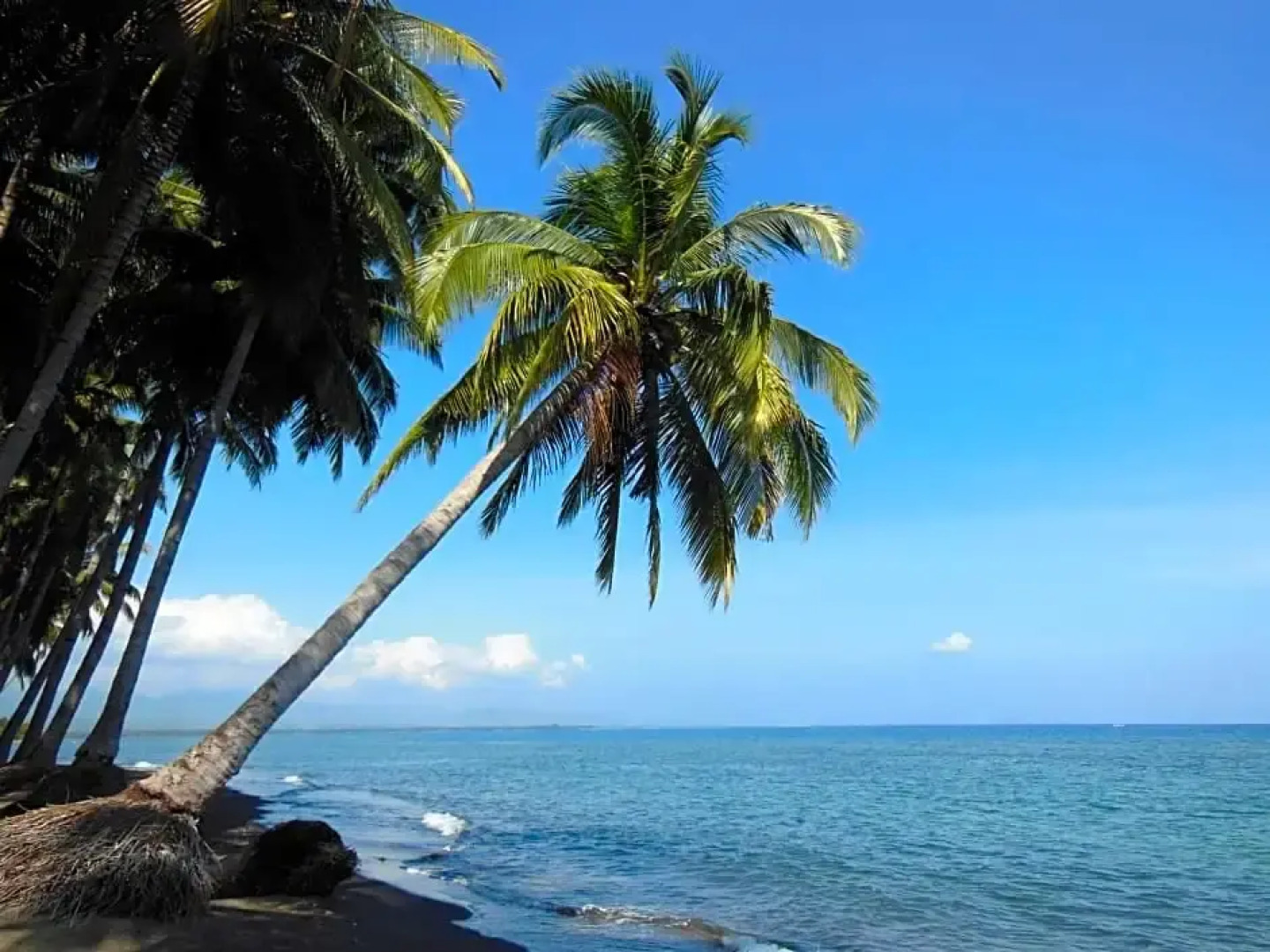 GONDANG1 beach hotel