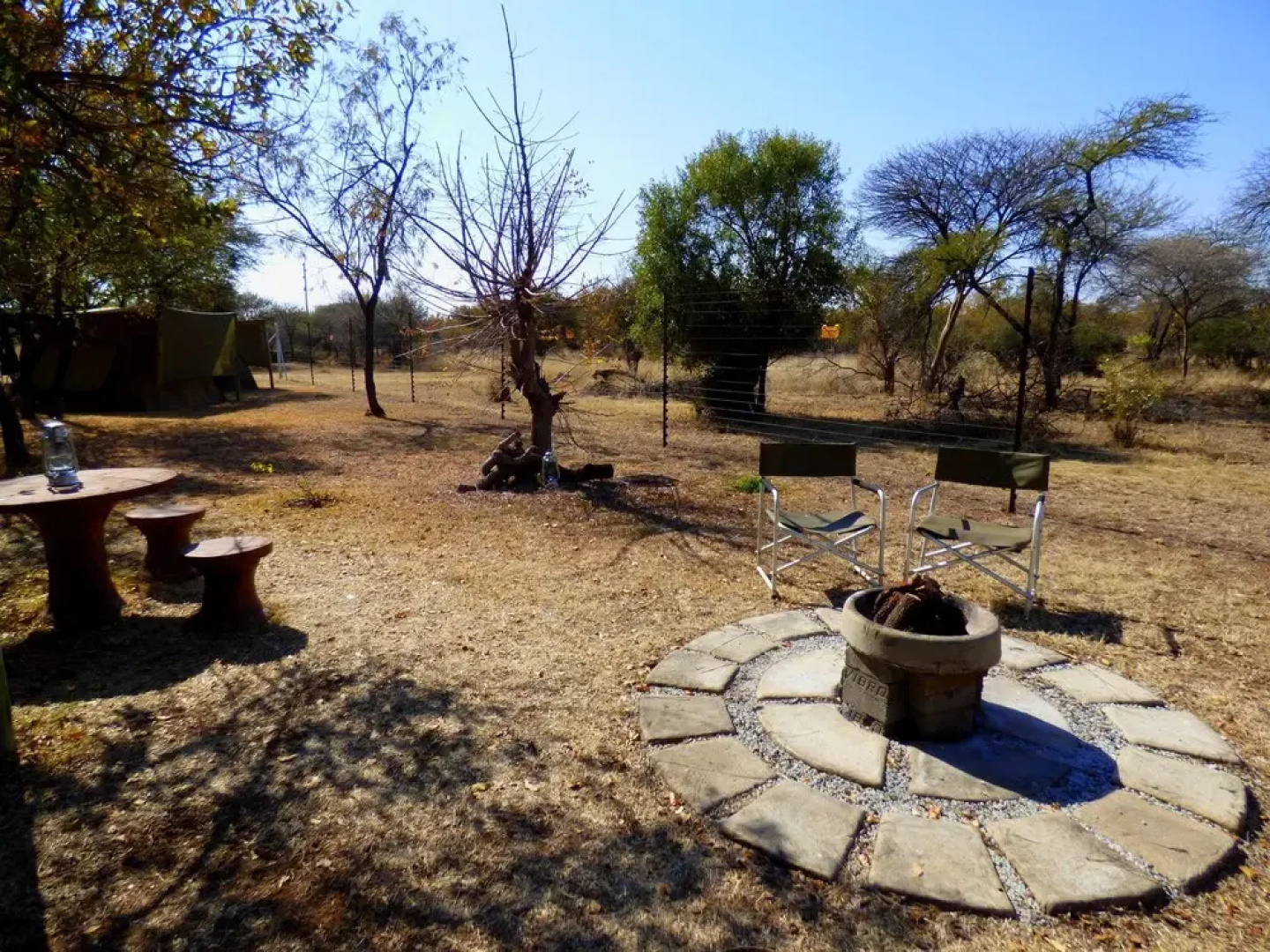 Thorn Tree Bush Camp